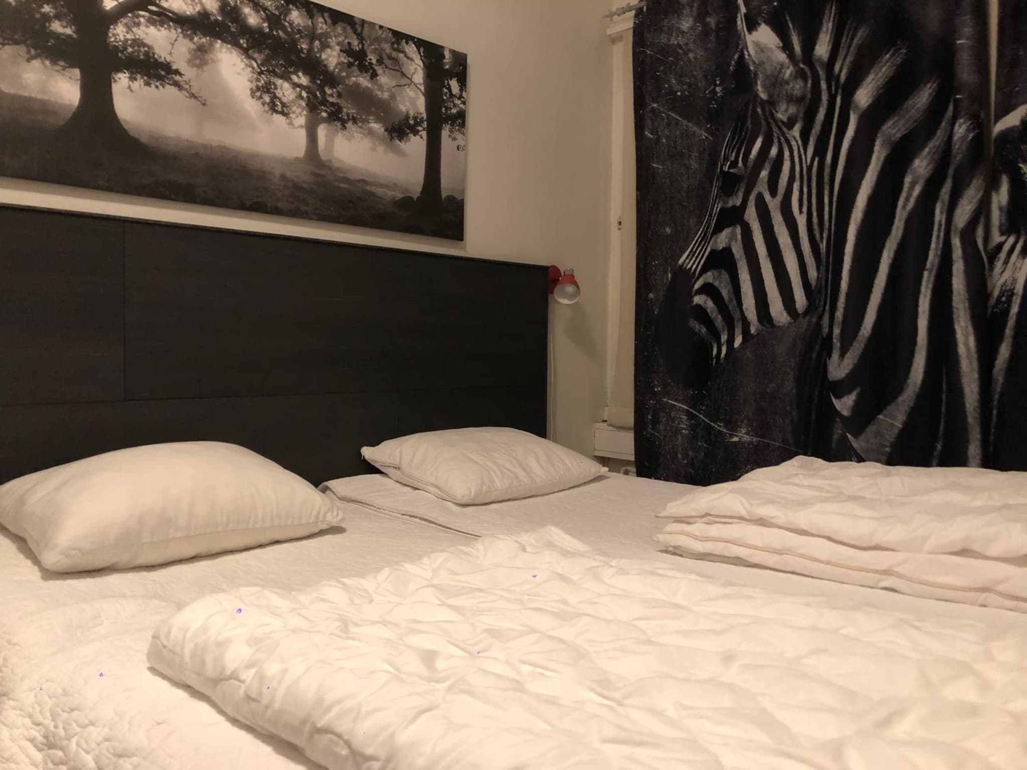 Uppsala City Hostel photo 9