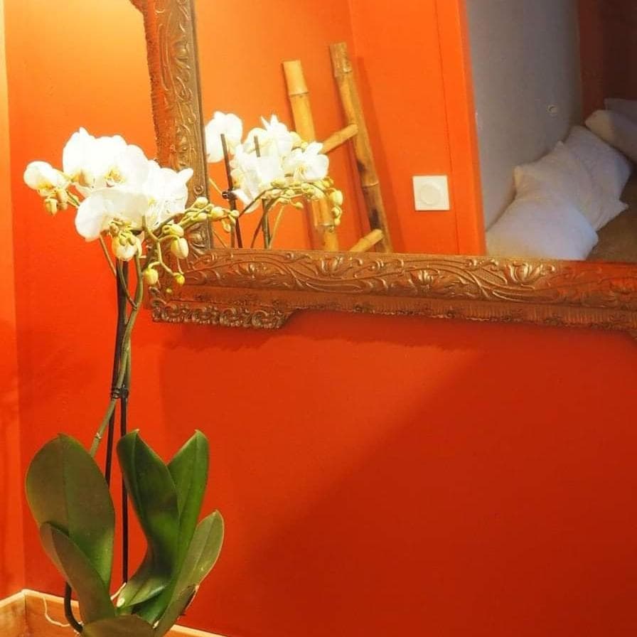 LA TERRASSE VIGNERONNE photo 7