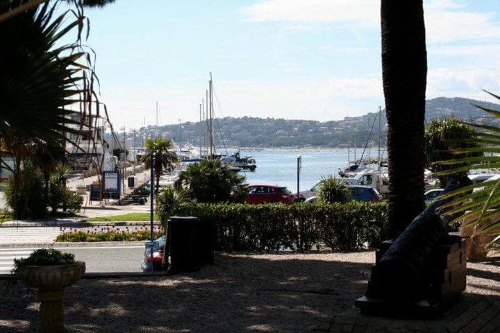 Hotel Les Palmiers photo 5
