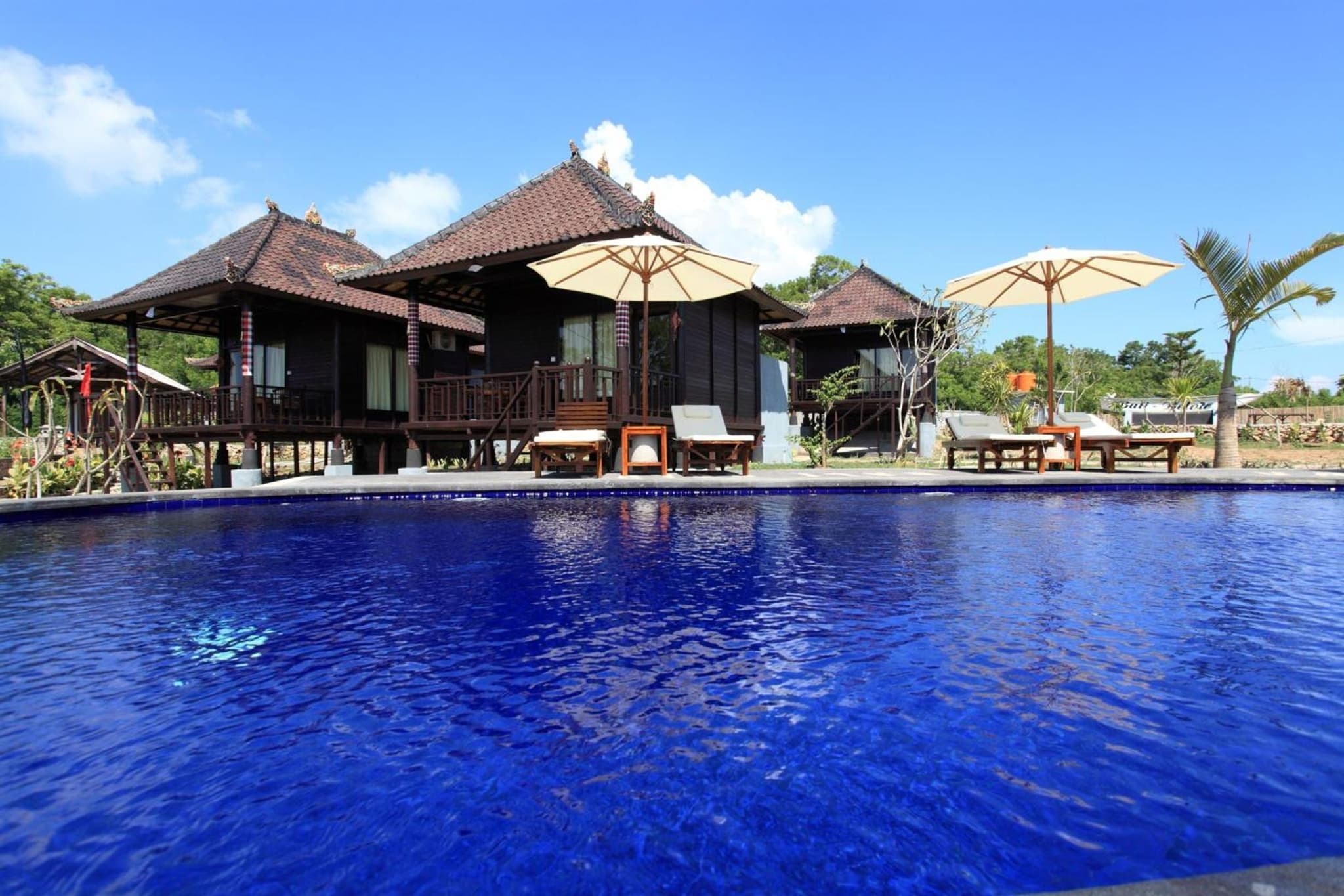 Bali Belva photo 8