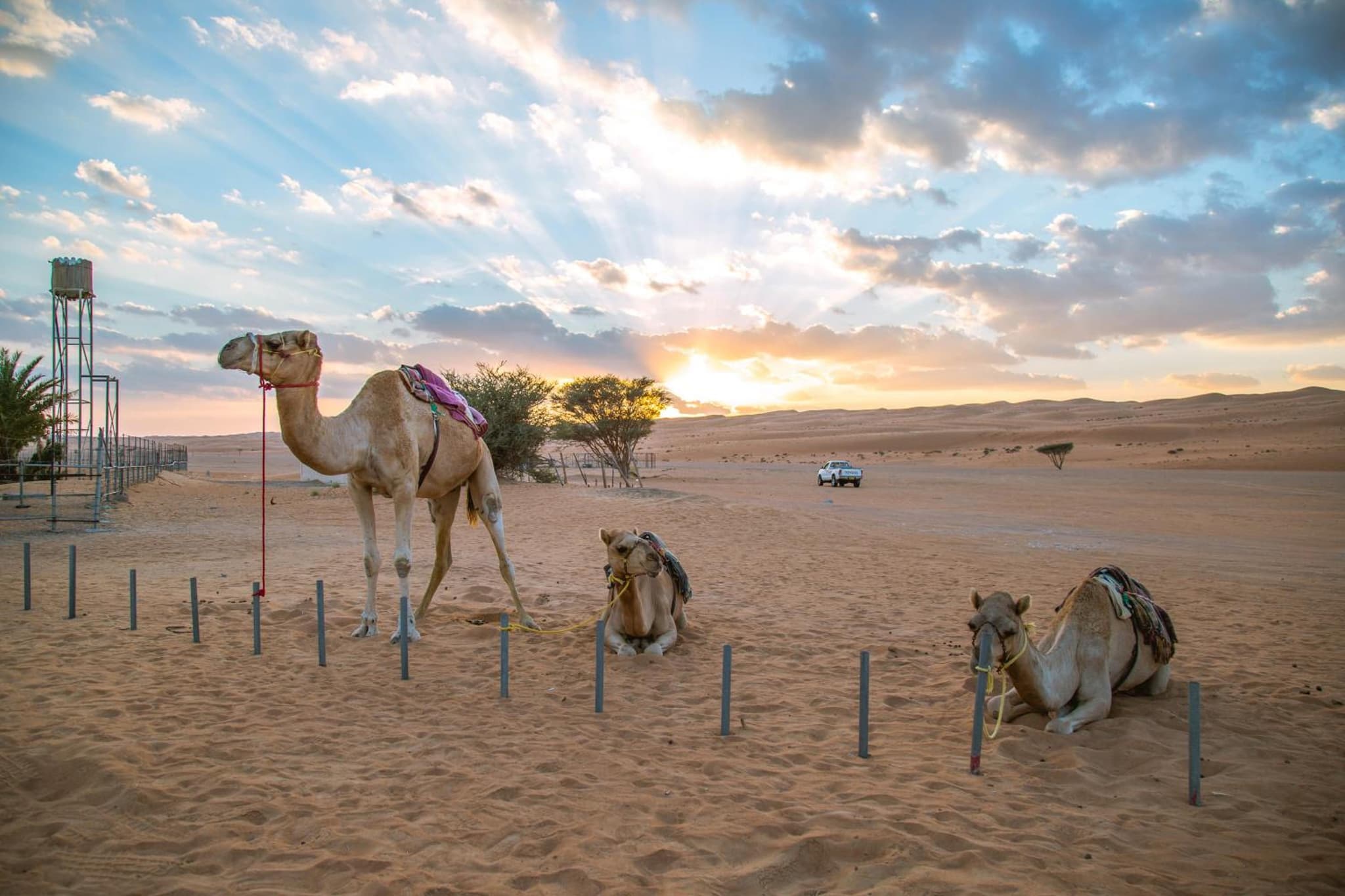 Sama al Wasil Desert Camp photo 7