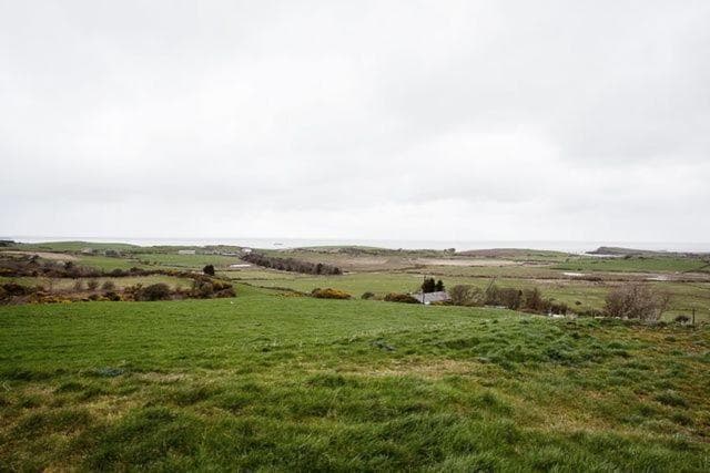 Erw Rhys photo 3