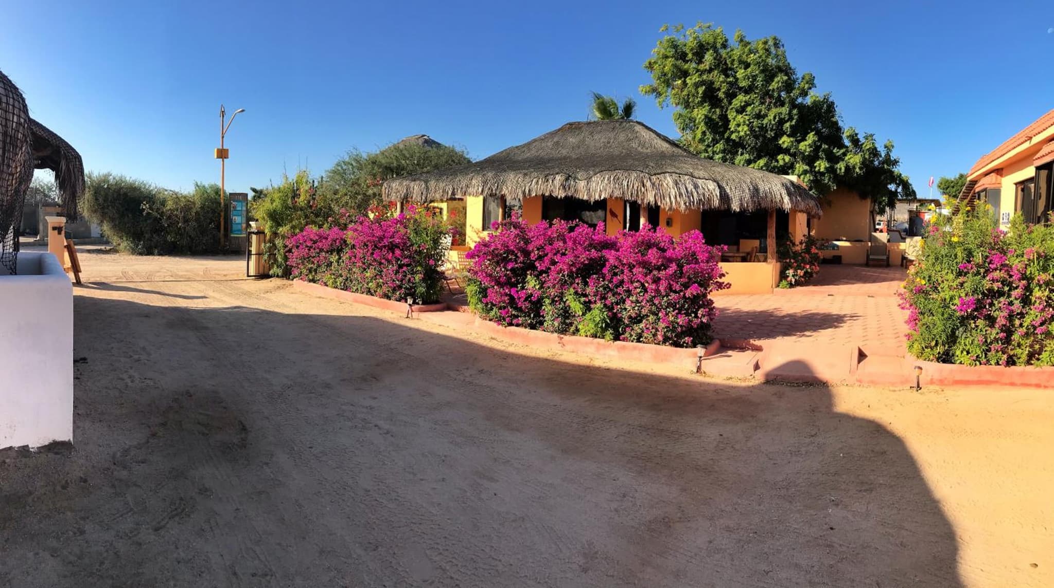 Bungalows Cabo Pulmo photo 9