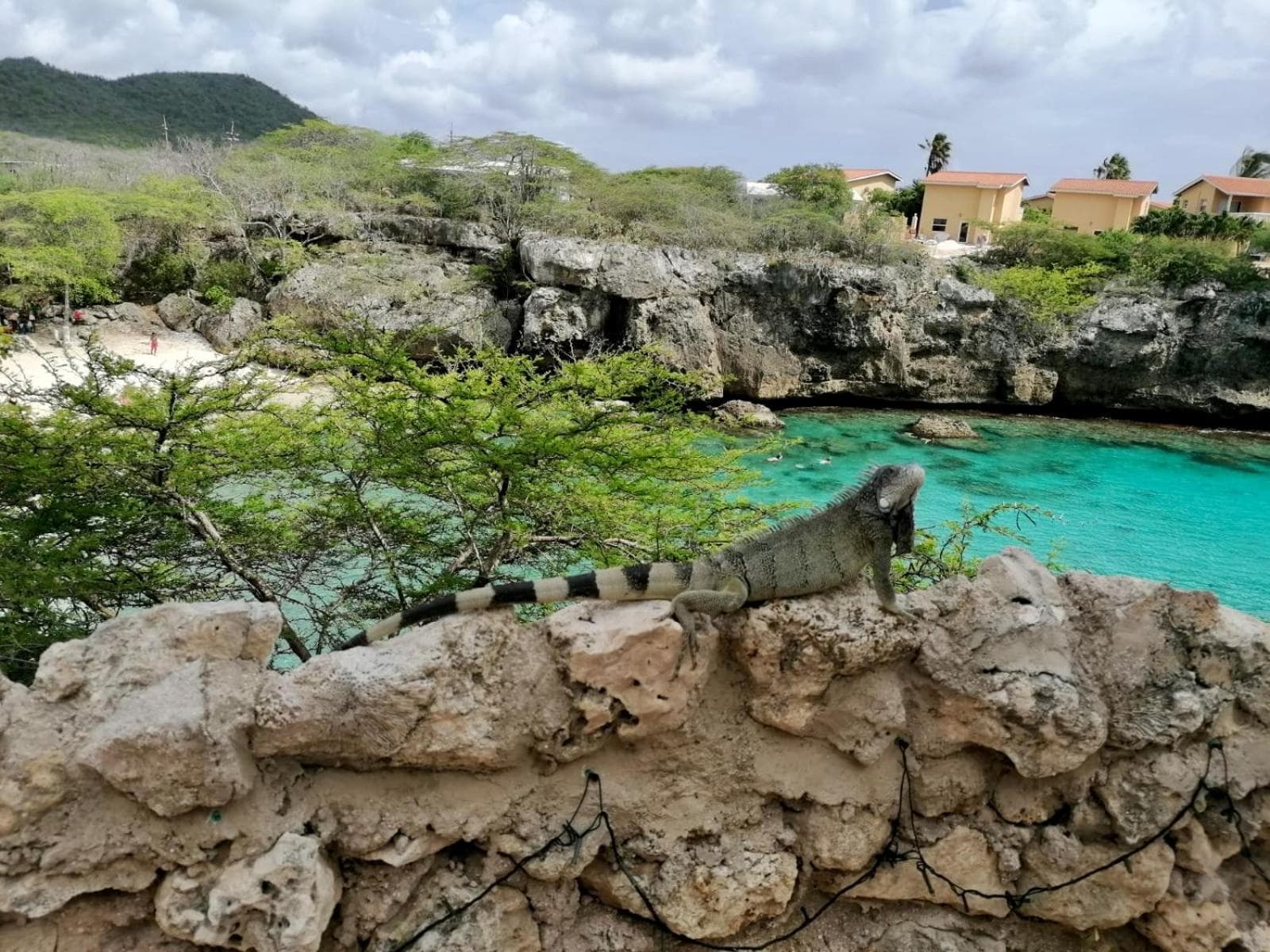 Blue Bay Villa Bon Bini. photo 2