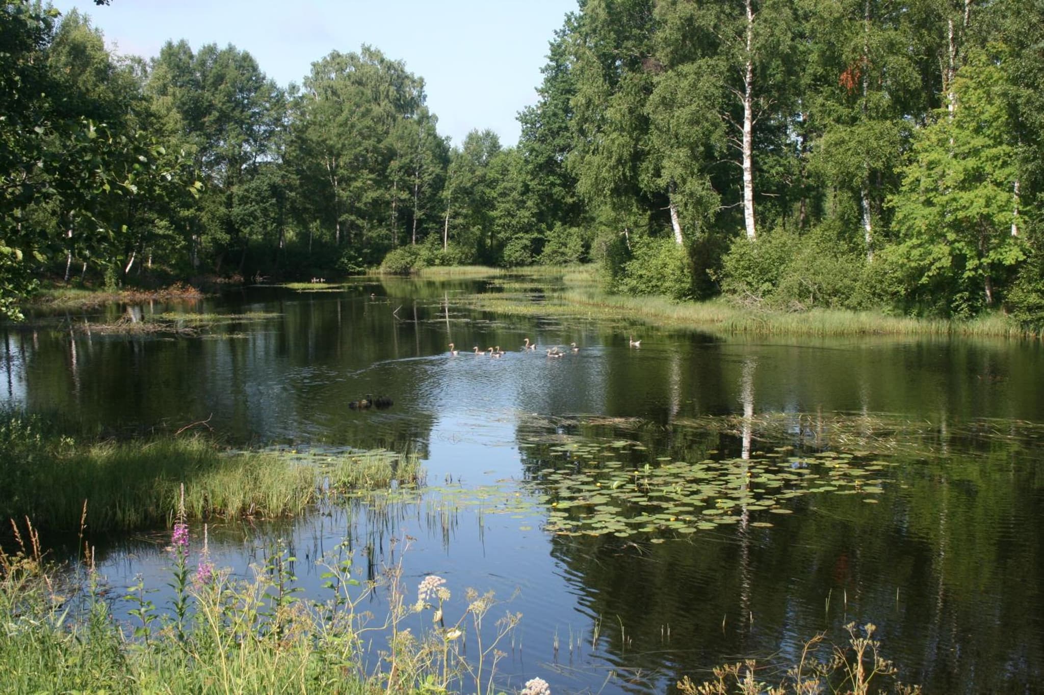 Torups Vandrarhem photo 3