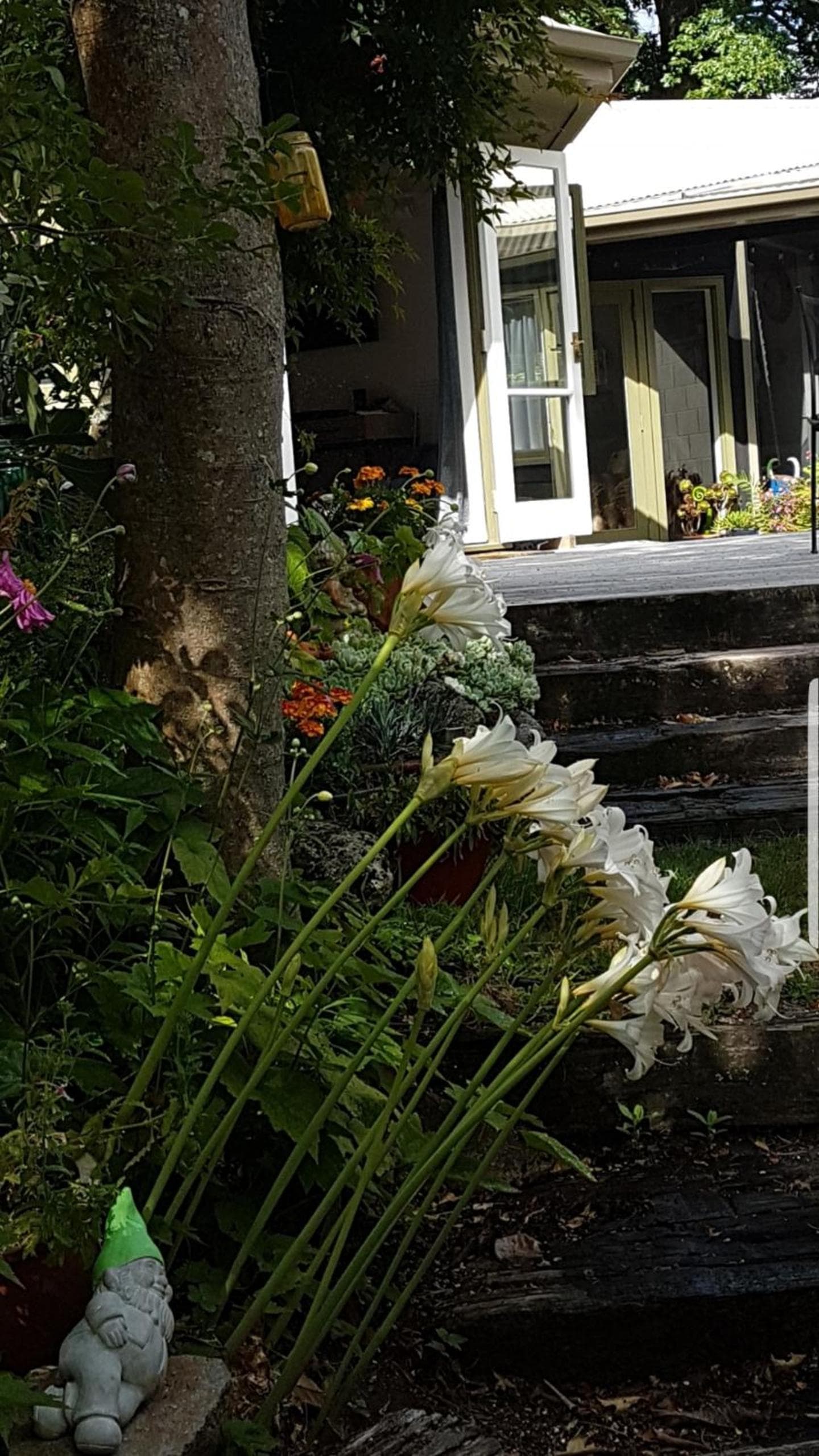 Fred&Donz Bed and Breakfast photo 7