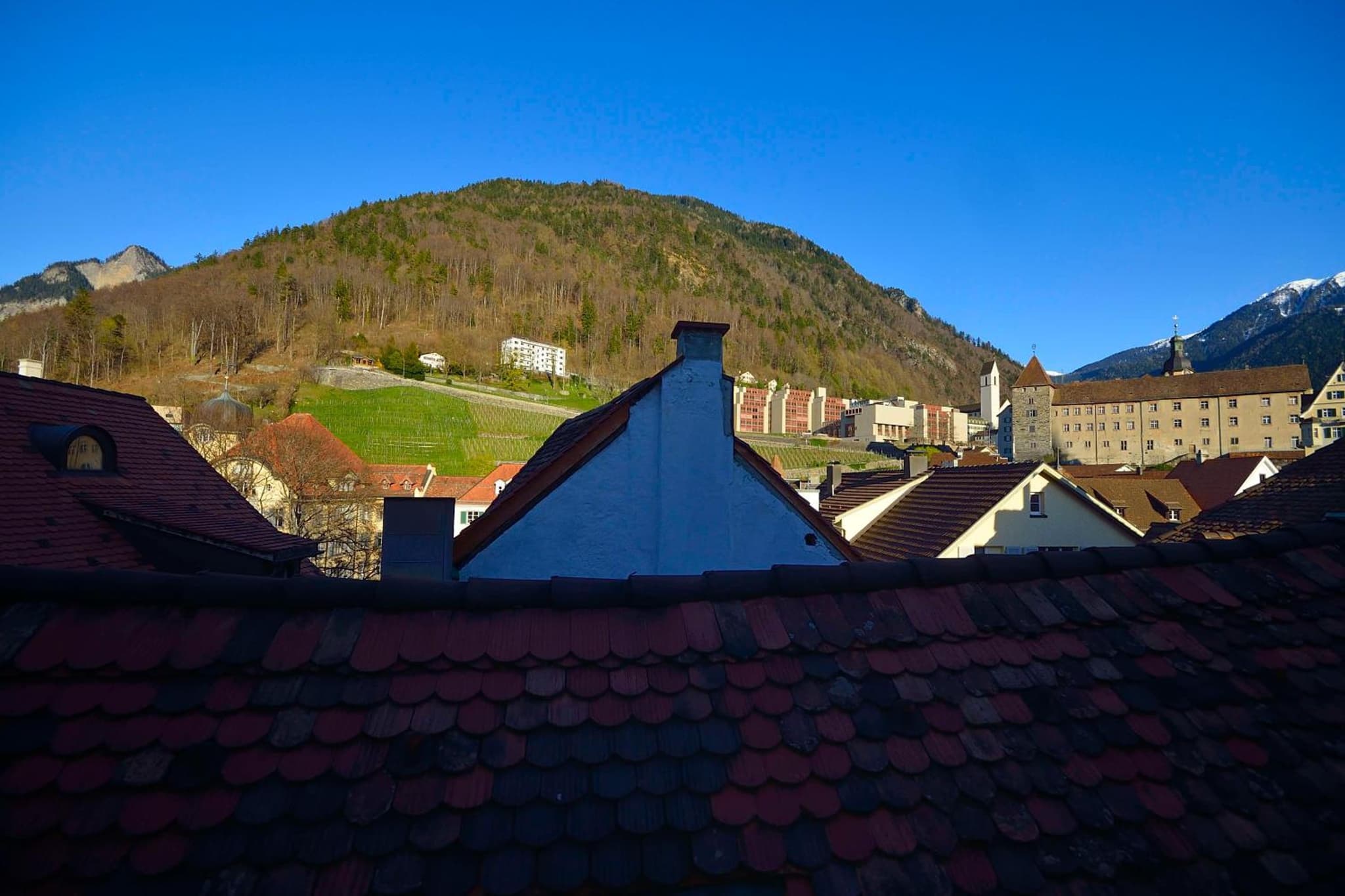 Ambiente Hotel Freieck photo 6