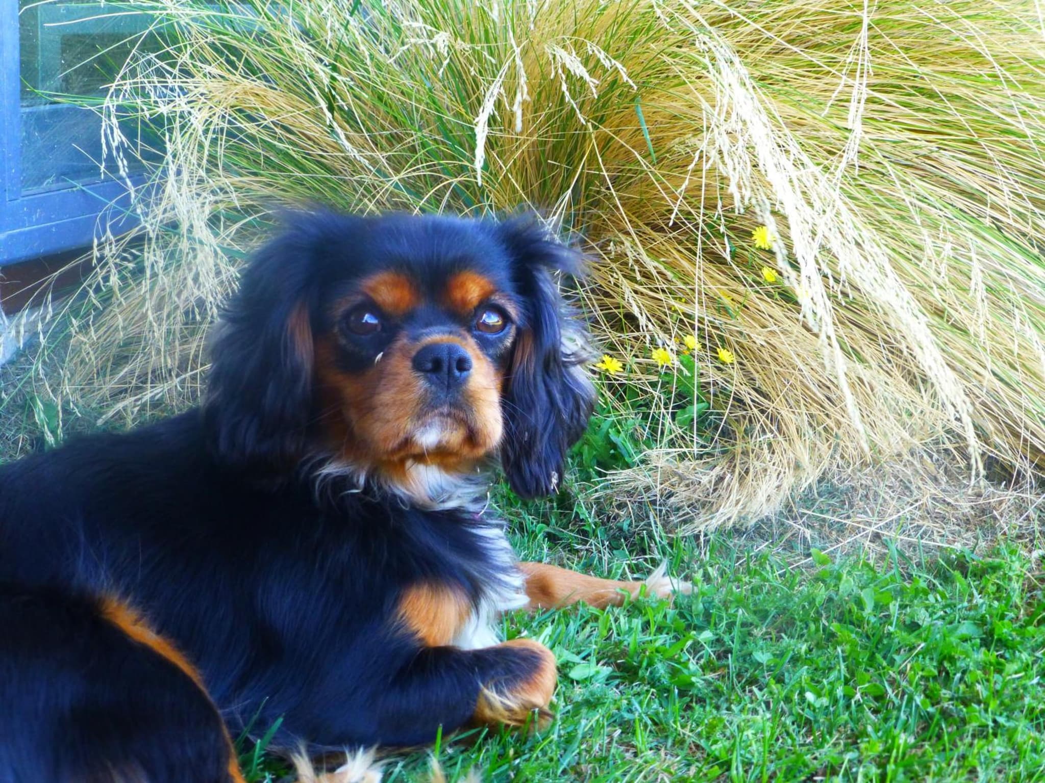 Lexi's Lodge photo 9