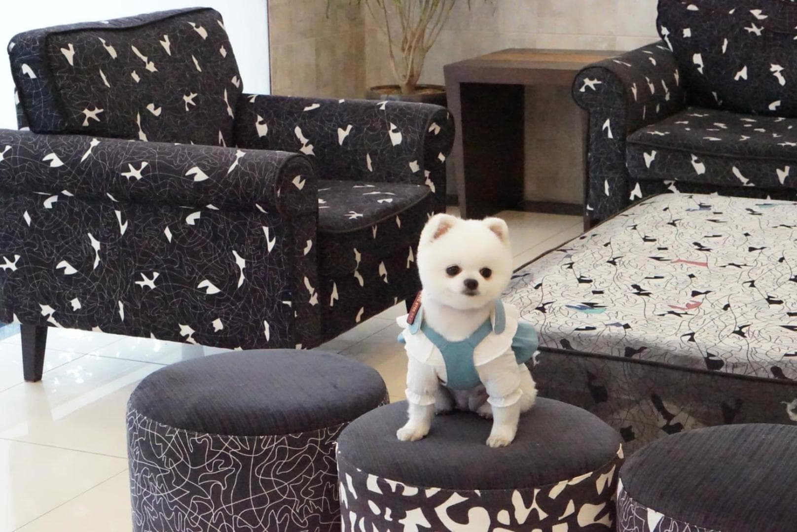 Hi Jeju Hotel photo 5