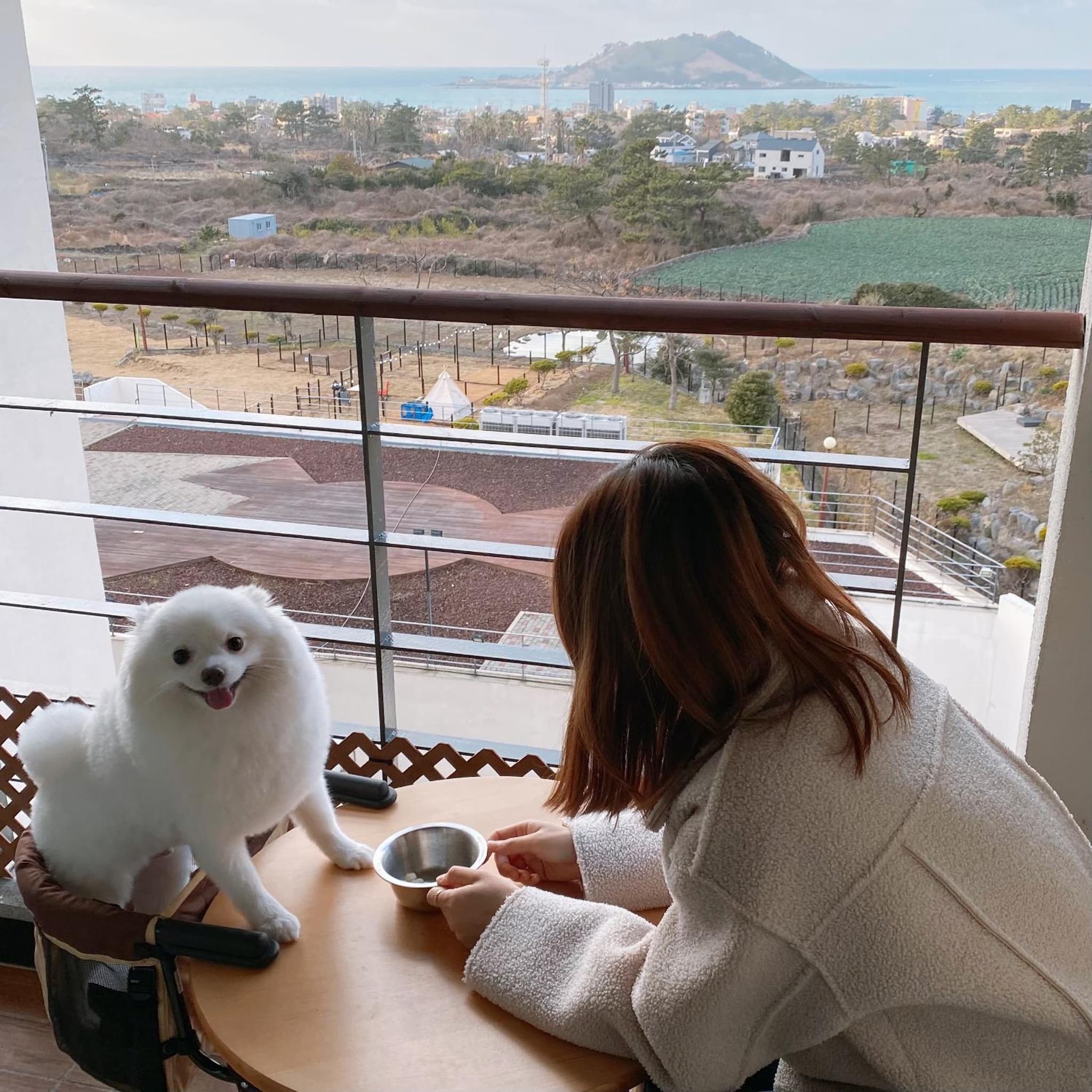 Hi Jeju Hotel photo 9