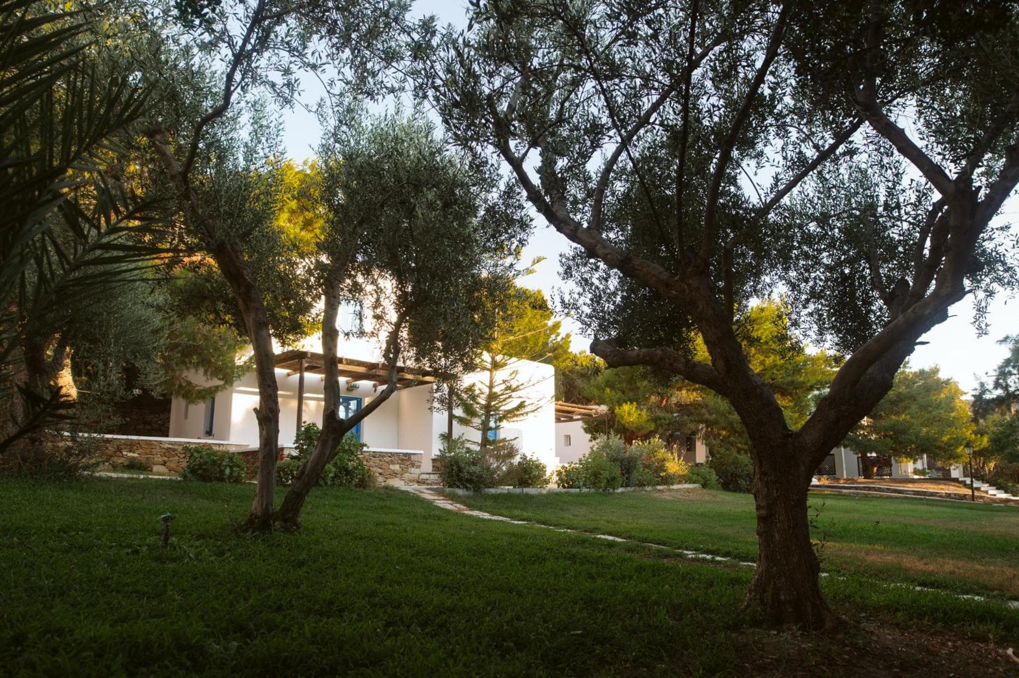 Far Out Village Hotel photo 7