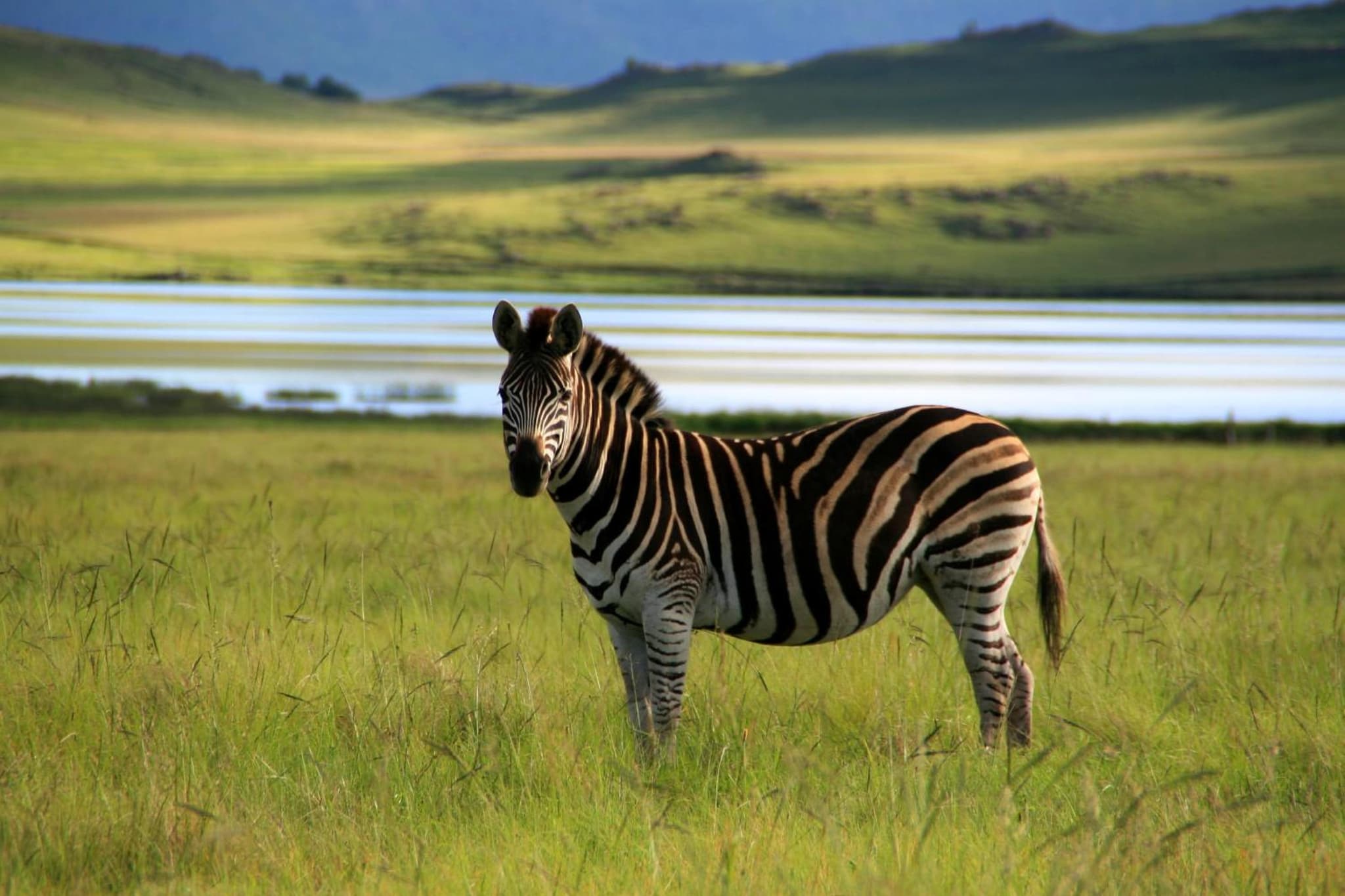 Sani Valley Nature Lodges photo 3