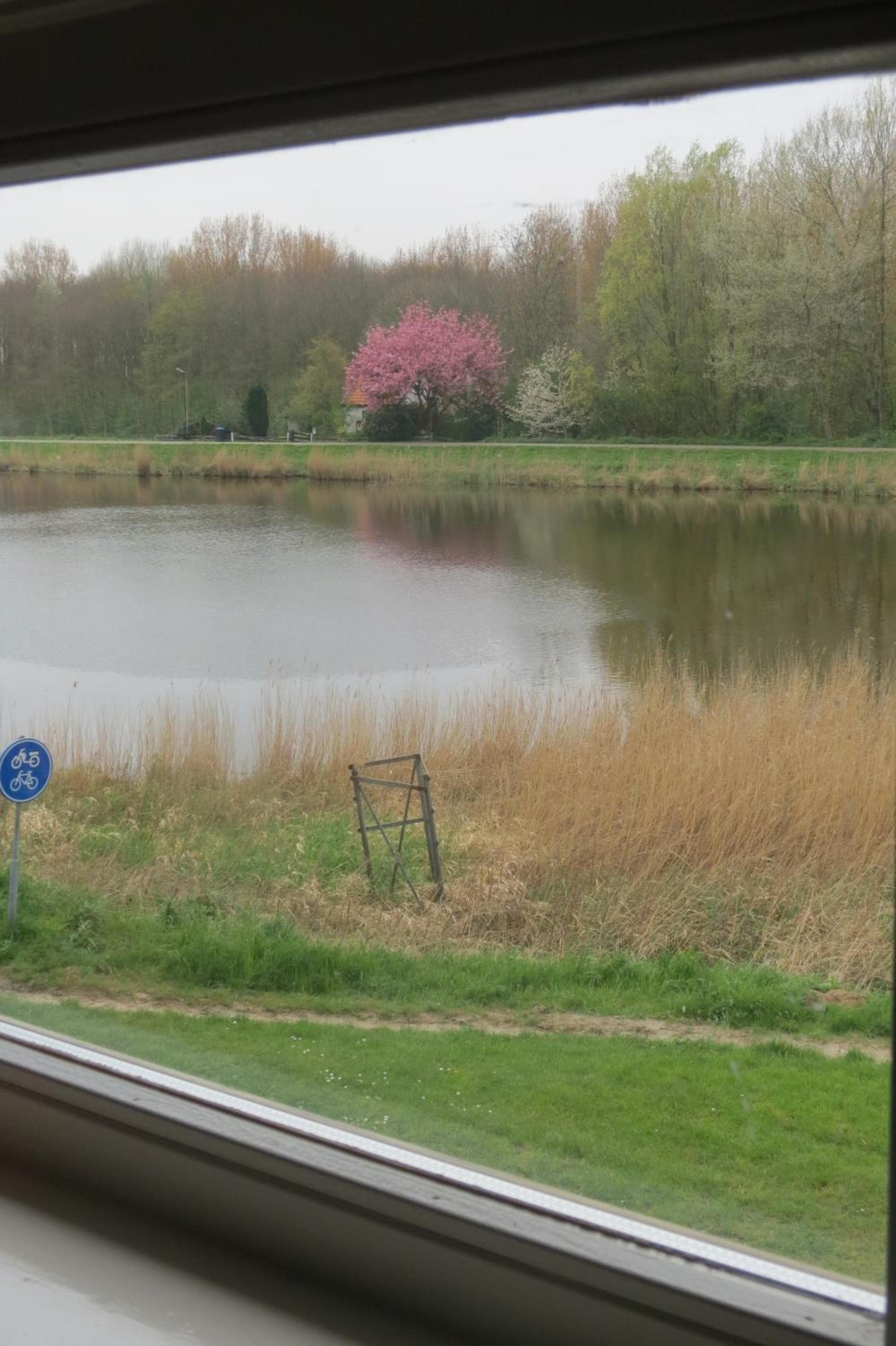 Villa Zomerdijk photo 6