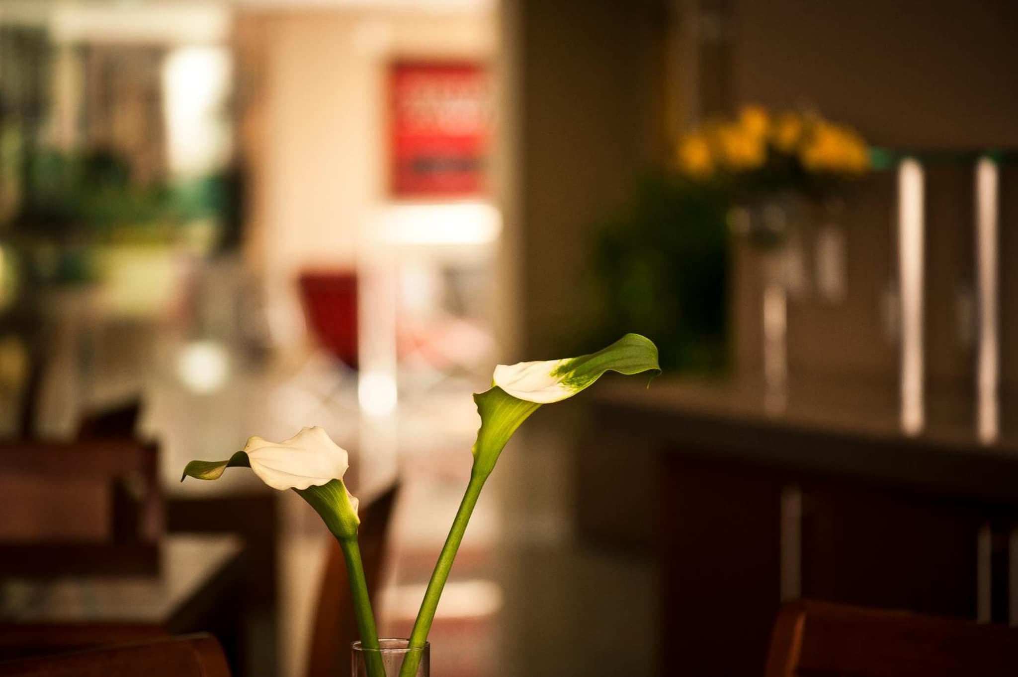 Alfa Hotel photo 3