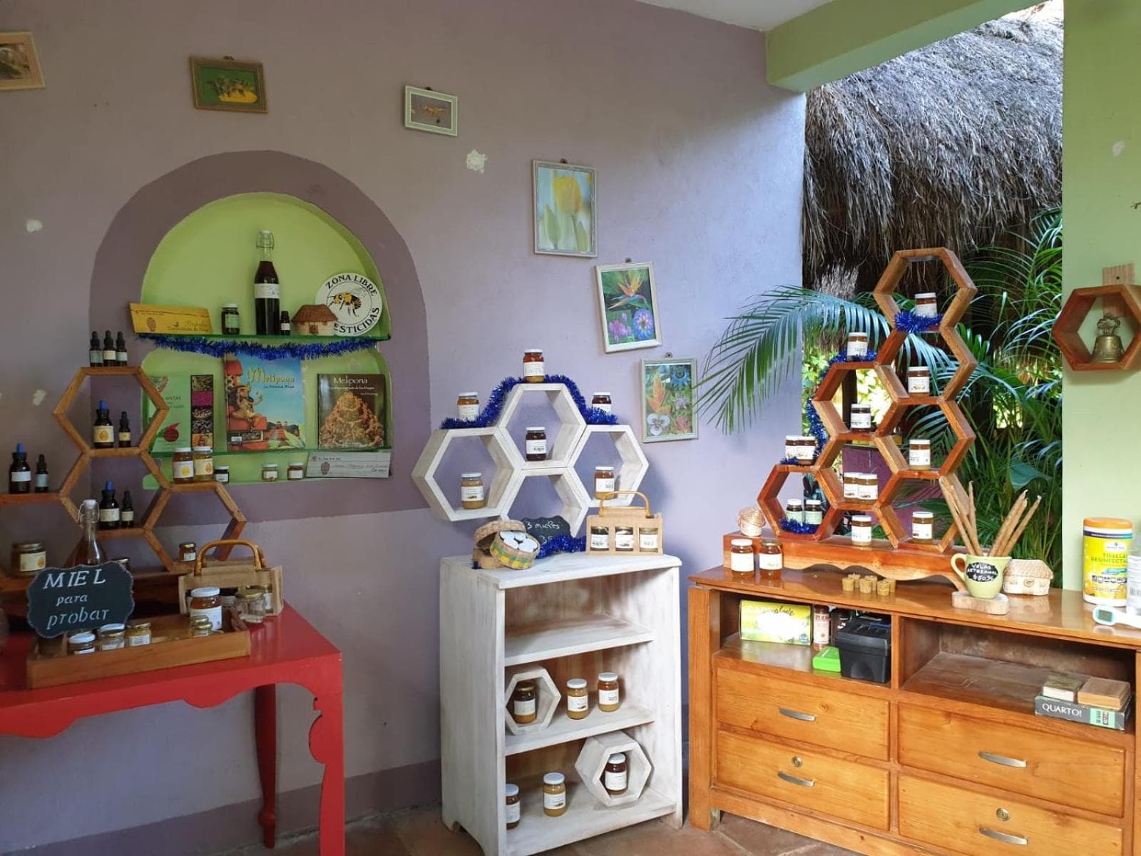 Casa Don Diego photo 3