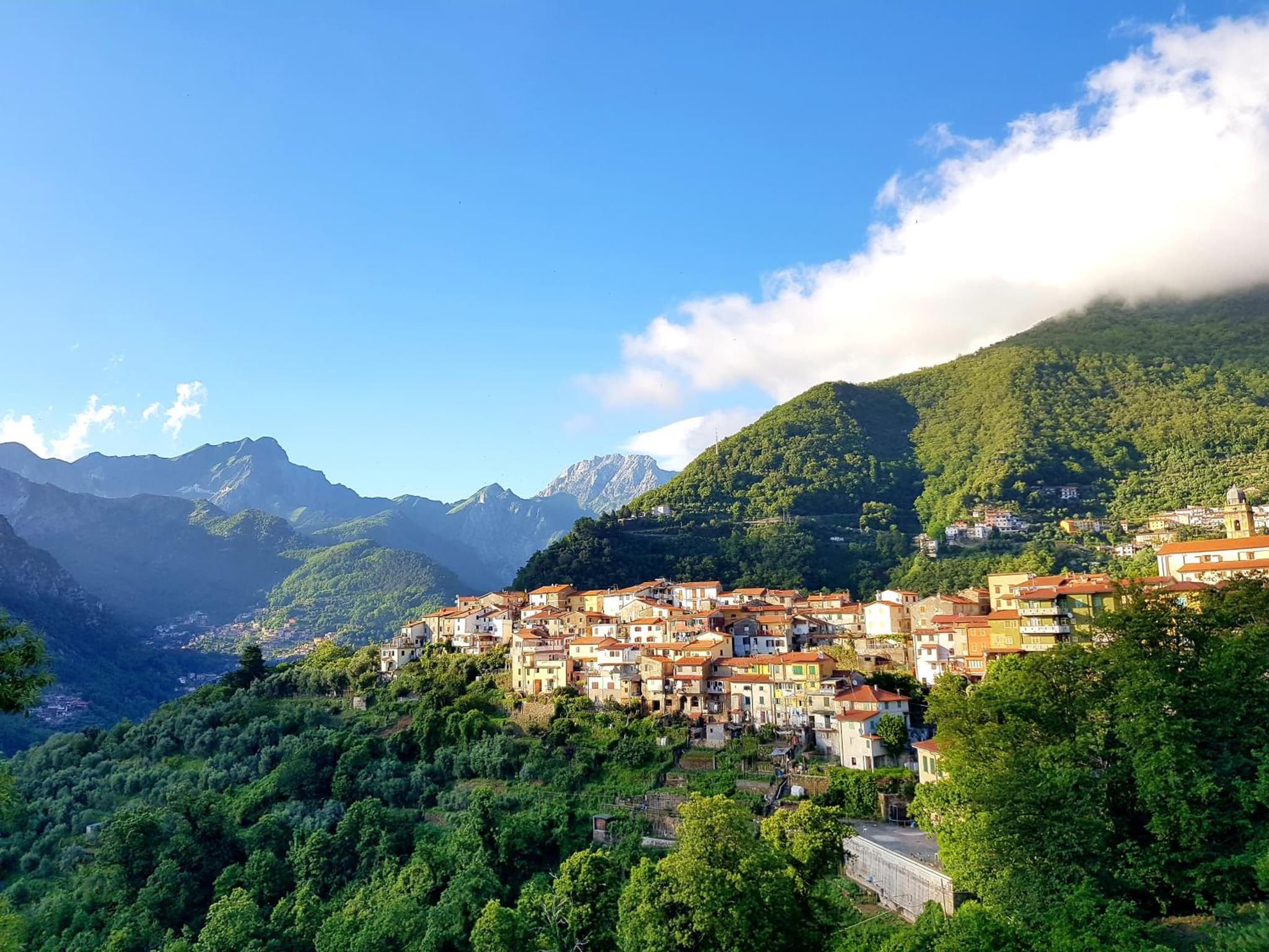 La Torretta delle Apuane photo 4