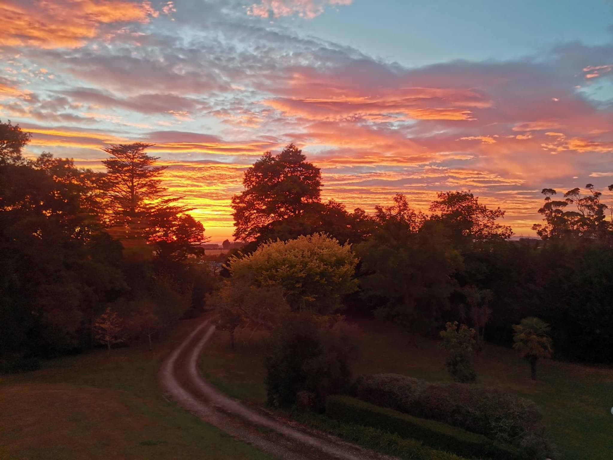 Ashcott Homestead Bed & Breakfast photo 2