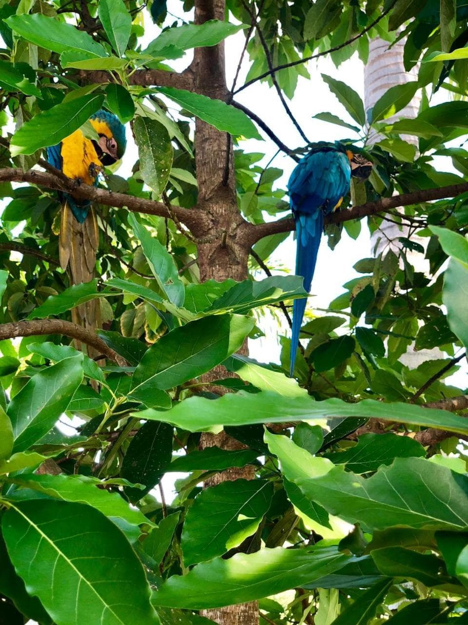 La Manola Finca Hotel photo 6
