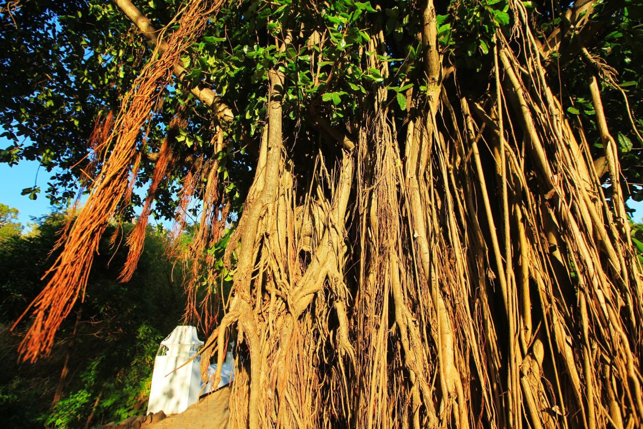 Pousada do Vale photo 4