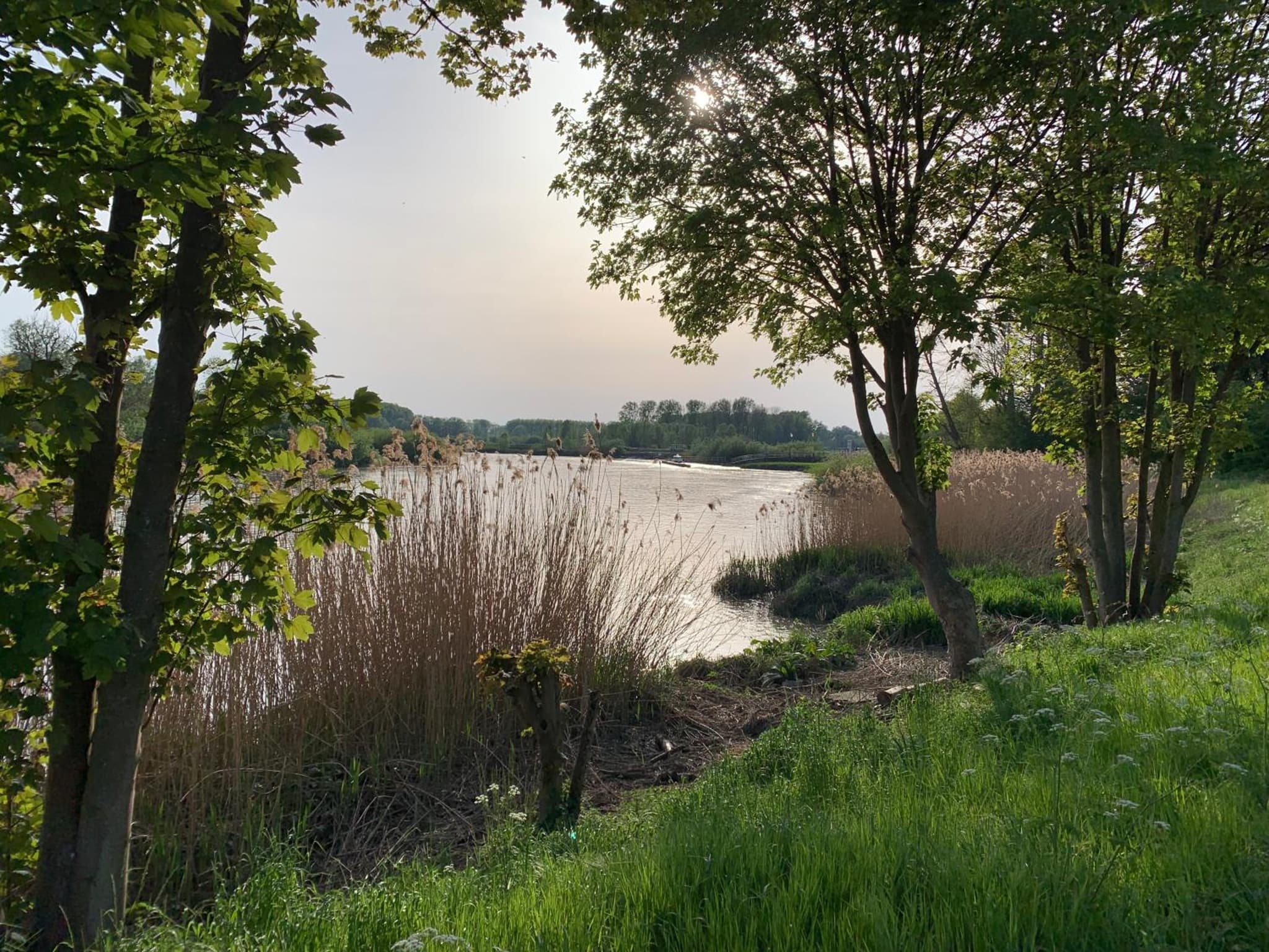 De Koolputten photo 7