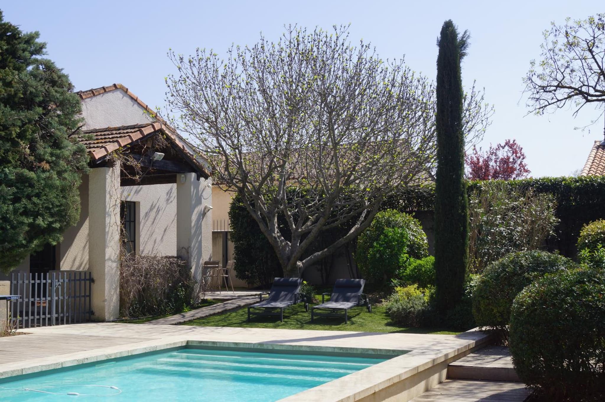 Domaine de la Girafe photo 8