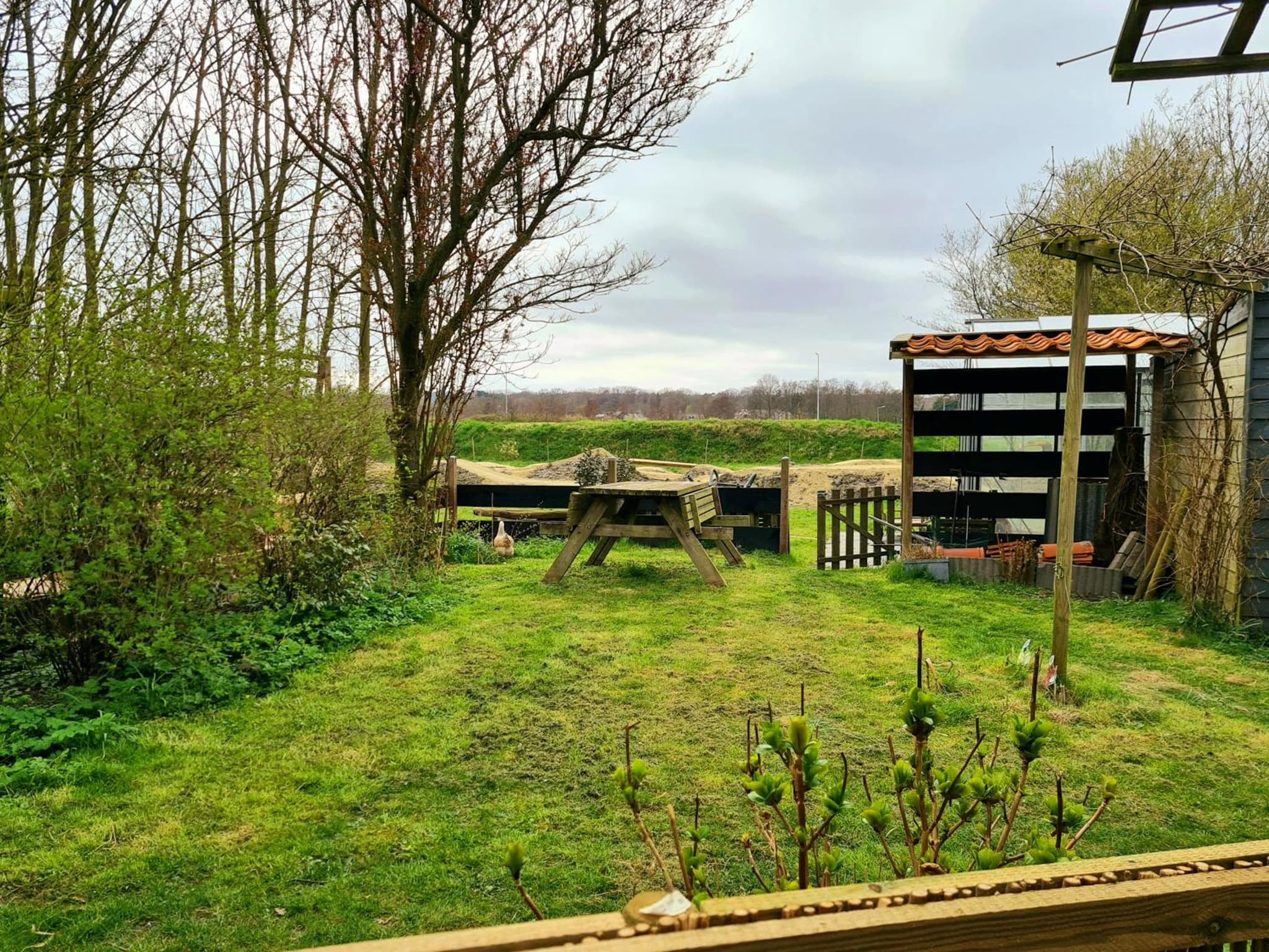 Appartement Schoorl photo 6