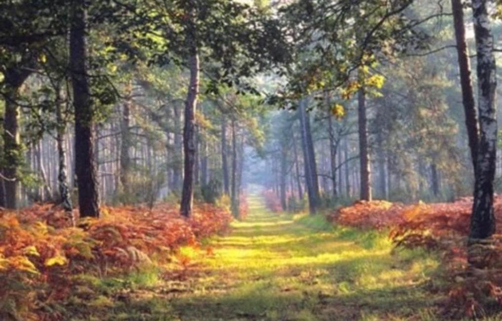 Le pigeonnier de la Farge photo 2