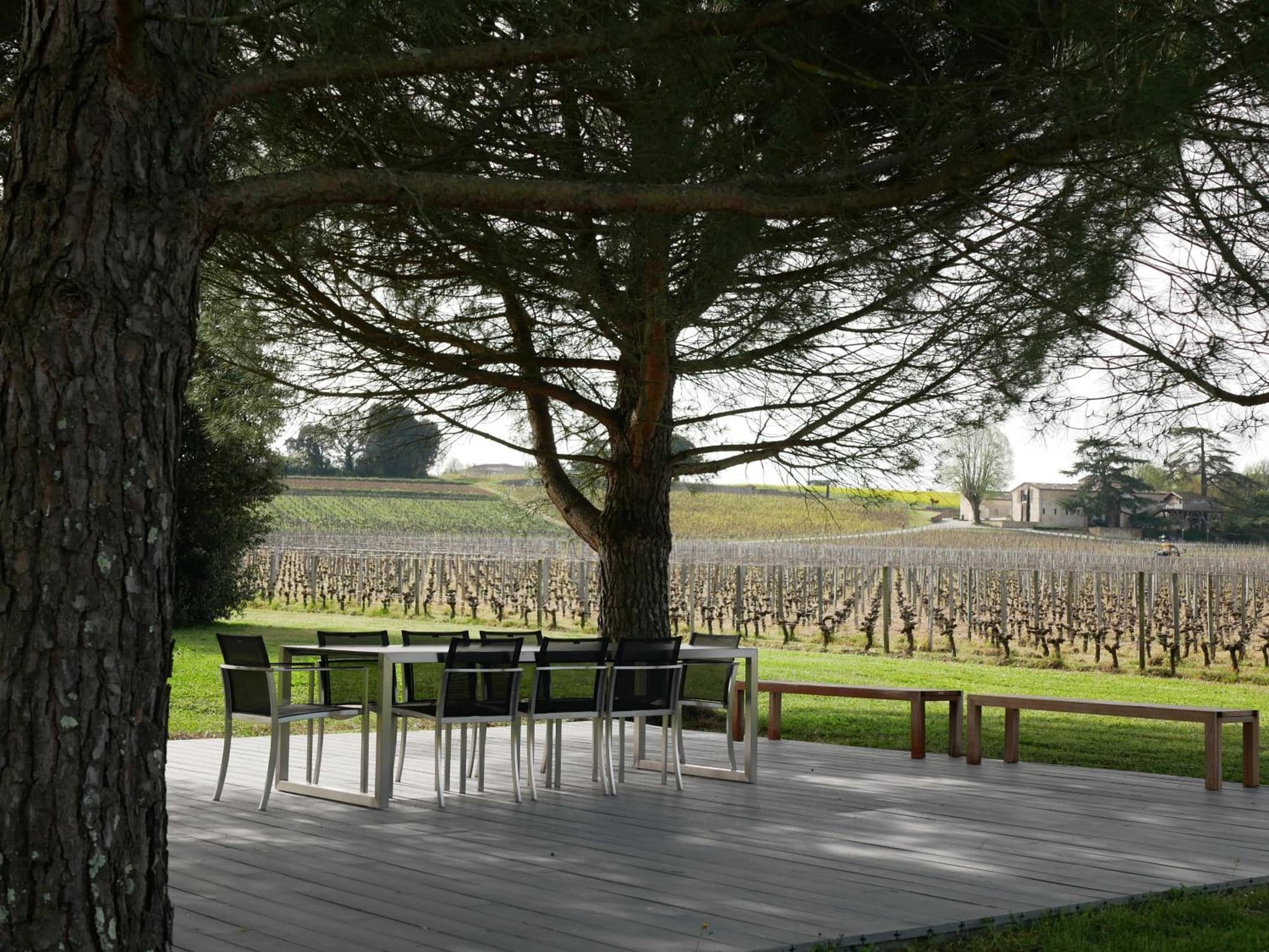 Clos des Jacobins (Grand Cru Classé) photo 8