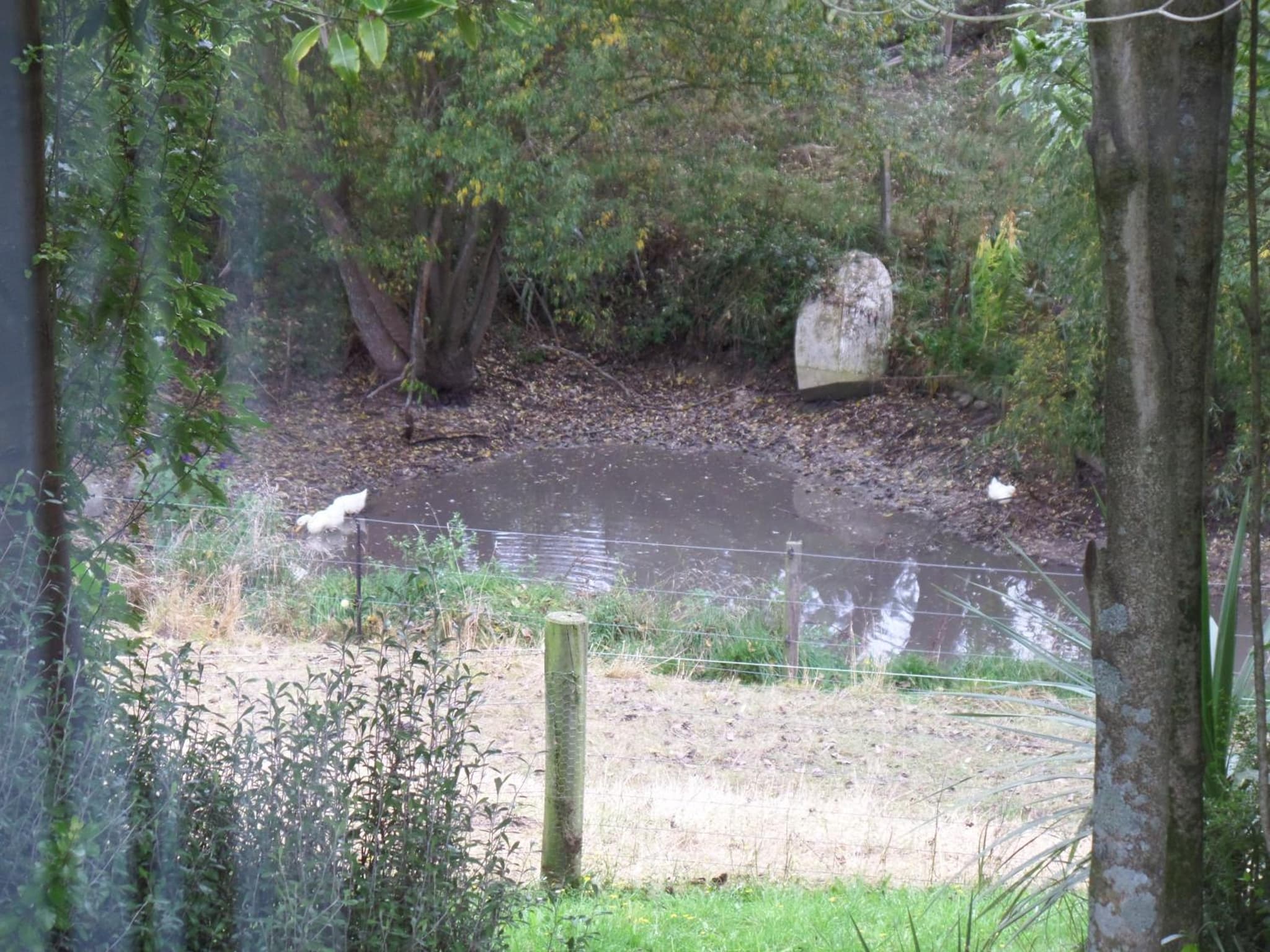 Riverstone House photo 6