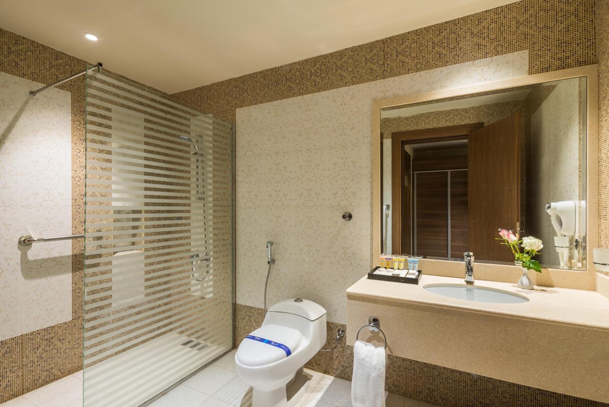 Mena Hotel Tabuk photo 9