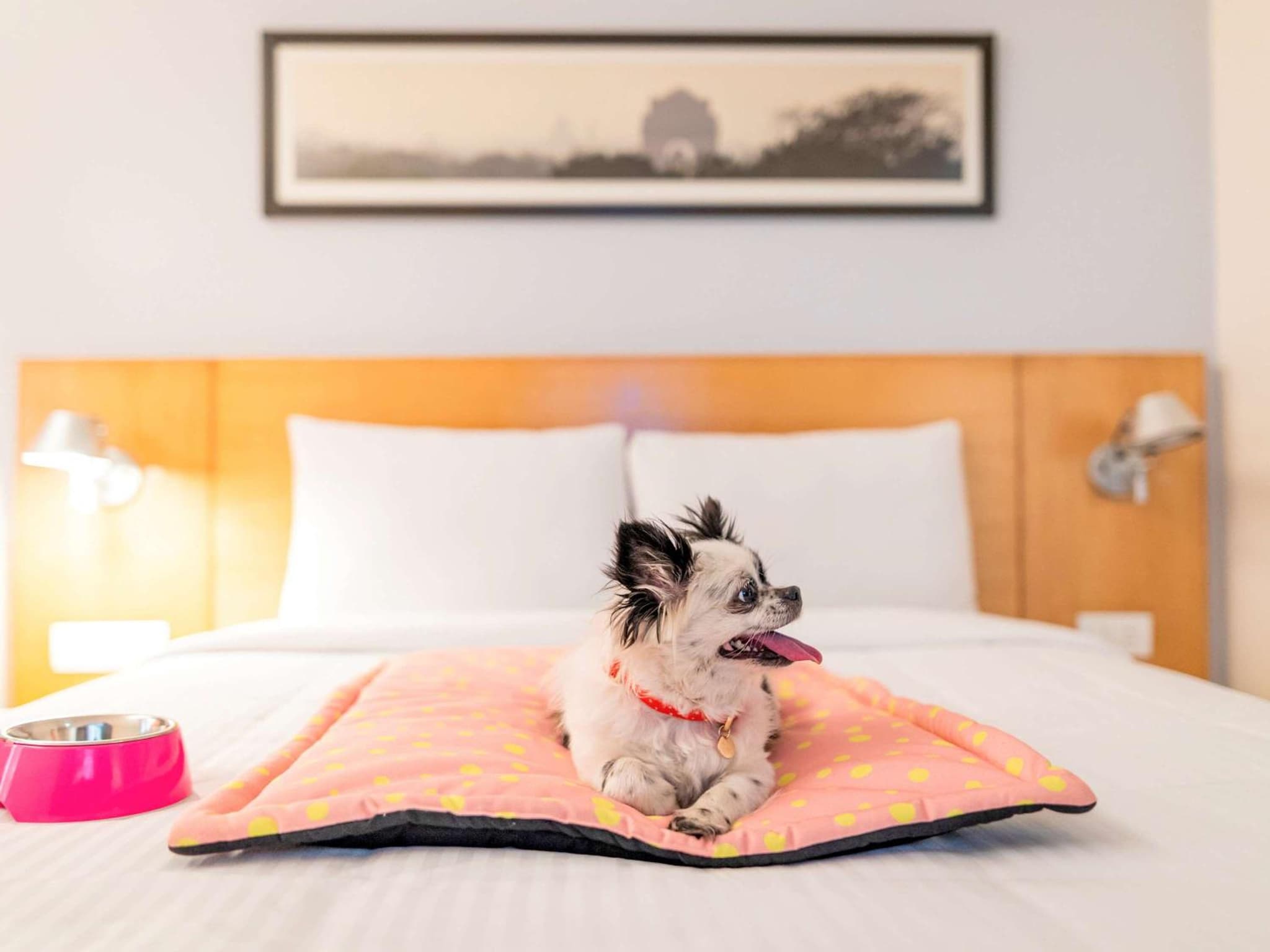 ibis Bengaluru Hosur Road - An Accor Brand photo 3