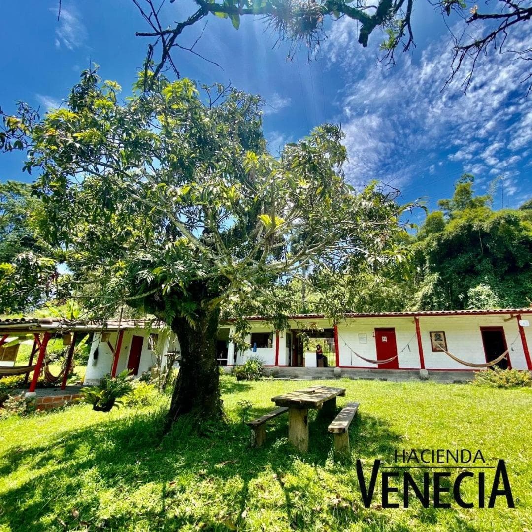 Hacienda Venecia Hostel photo 8