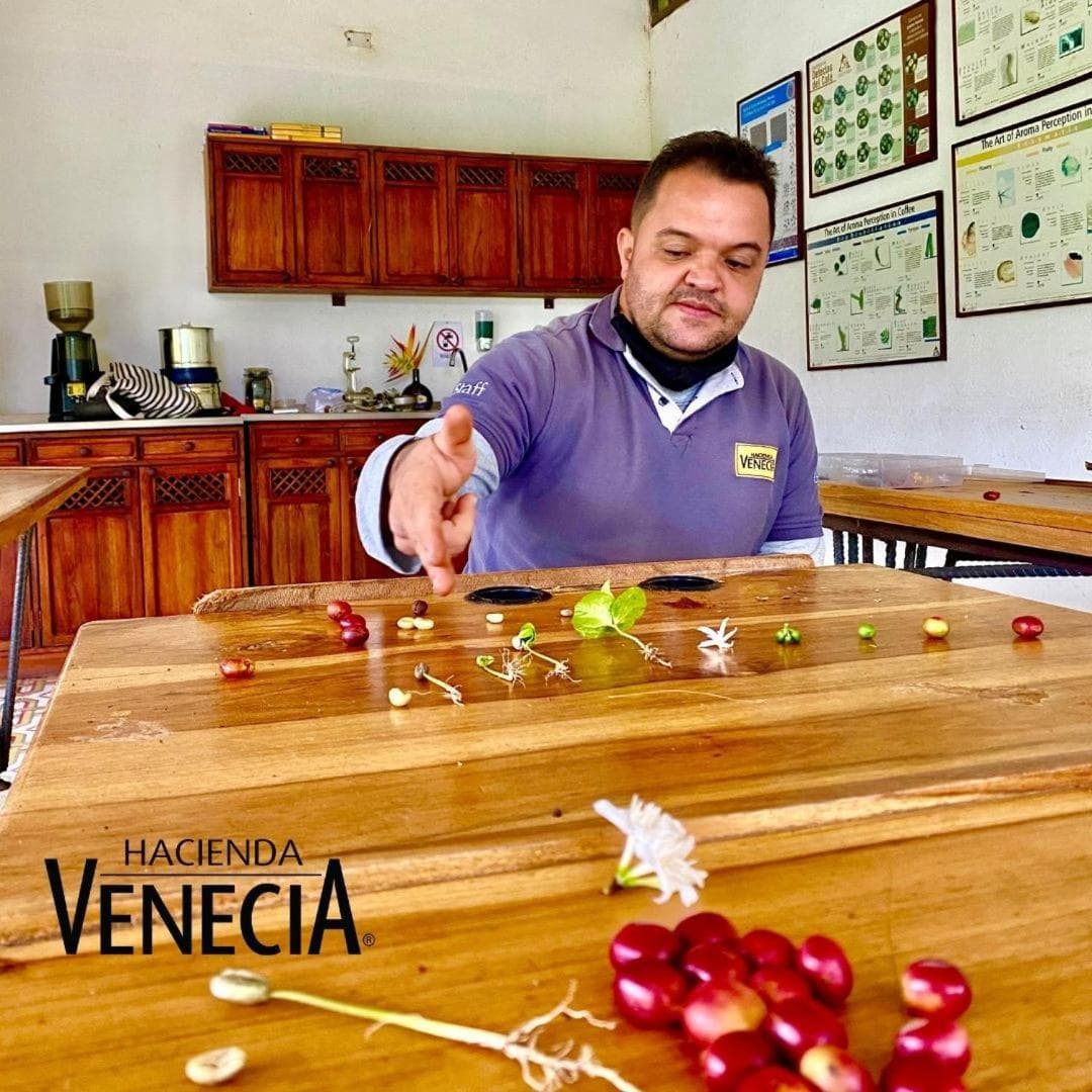 Hacienda Venecia Hostel photo 3