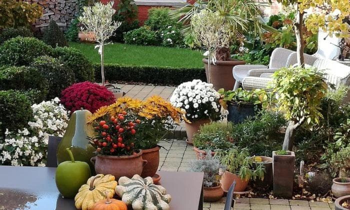 Adamas B&B photo 5
