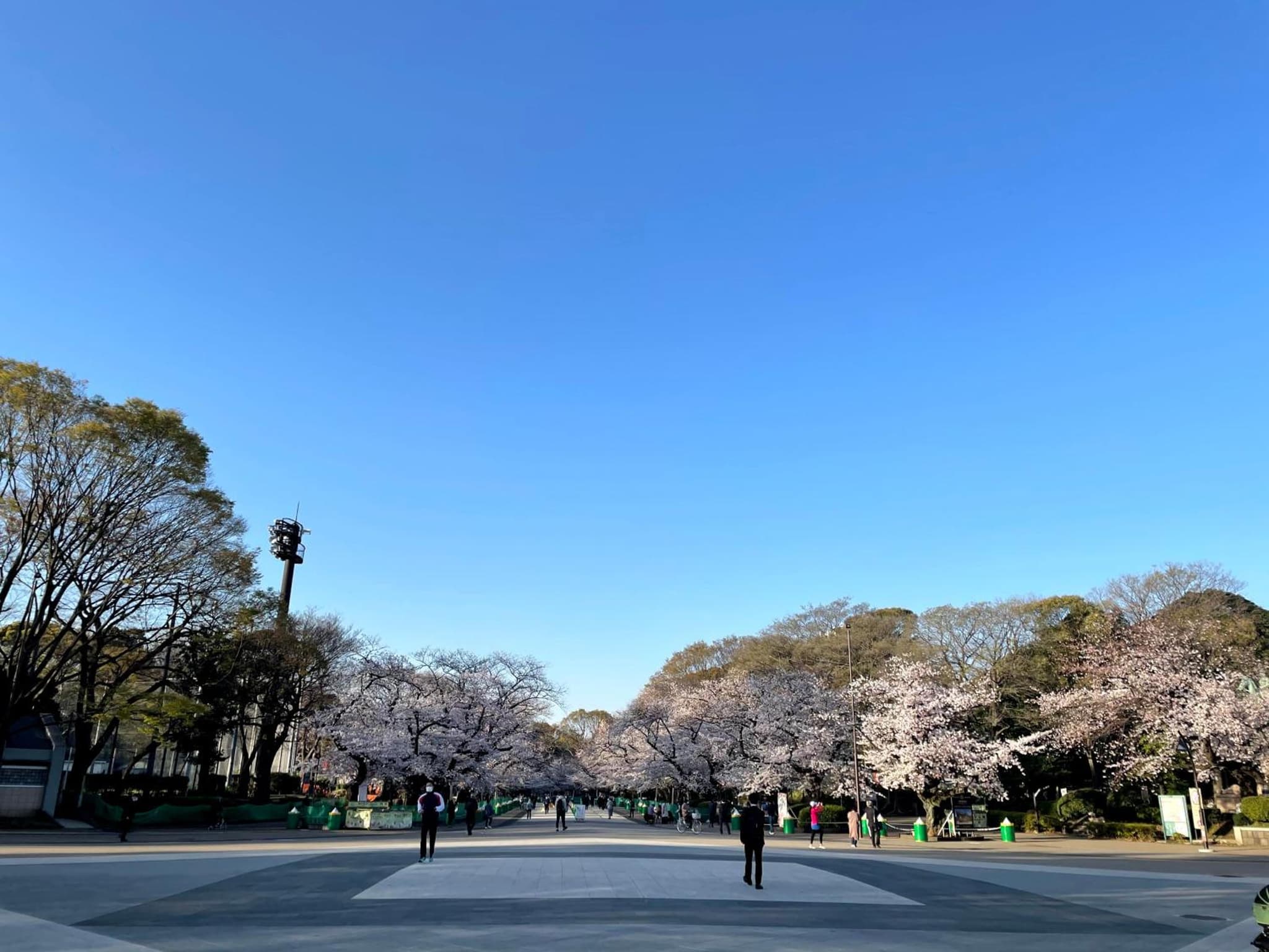 Four Points Flex by Sheraton Tokyo Ueno photo 4