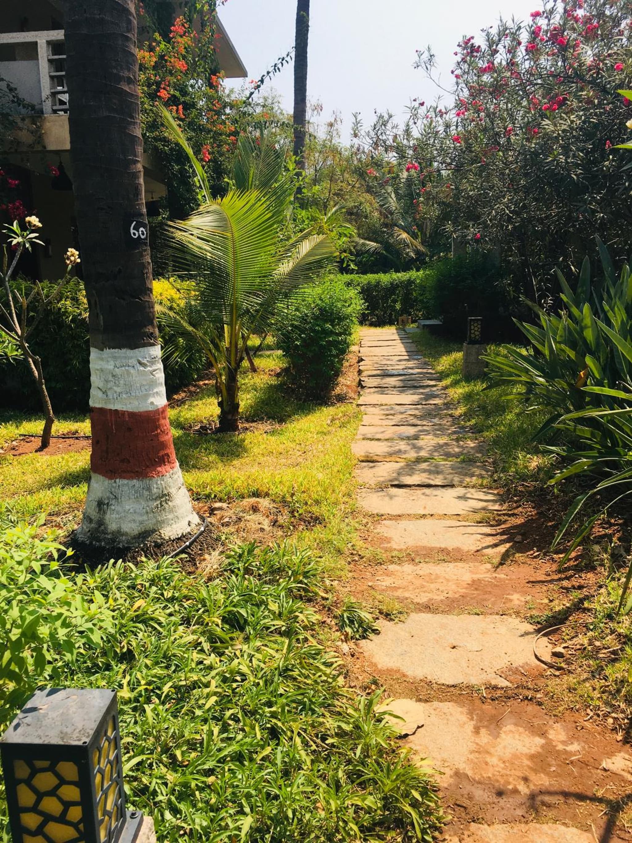 Heritage Resort Hampi photo 9