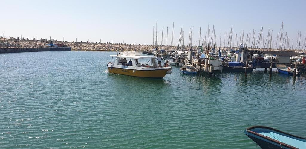 Rotem Suite in MARINA ASHKLON photo 2