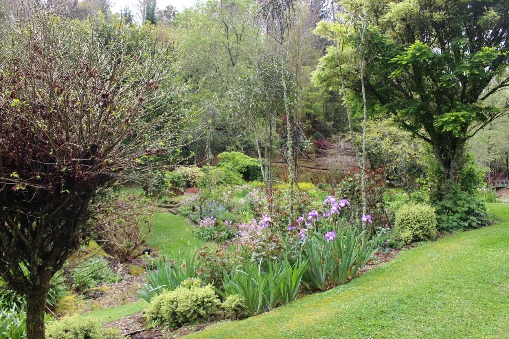Aramatai Gardens photo 2