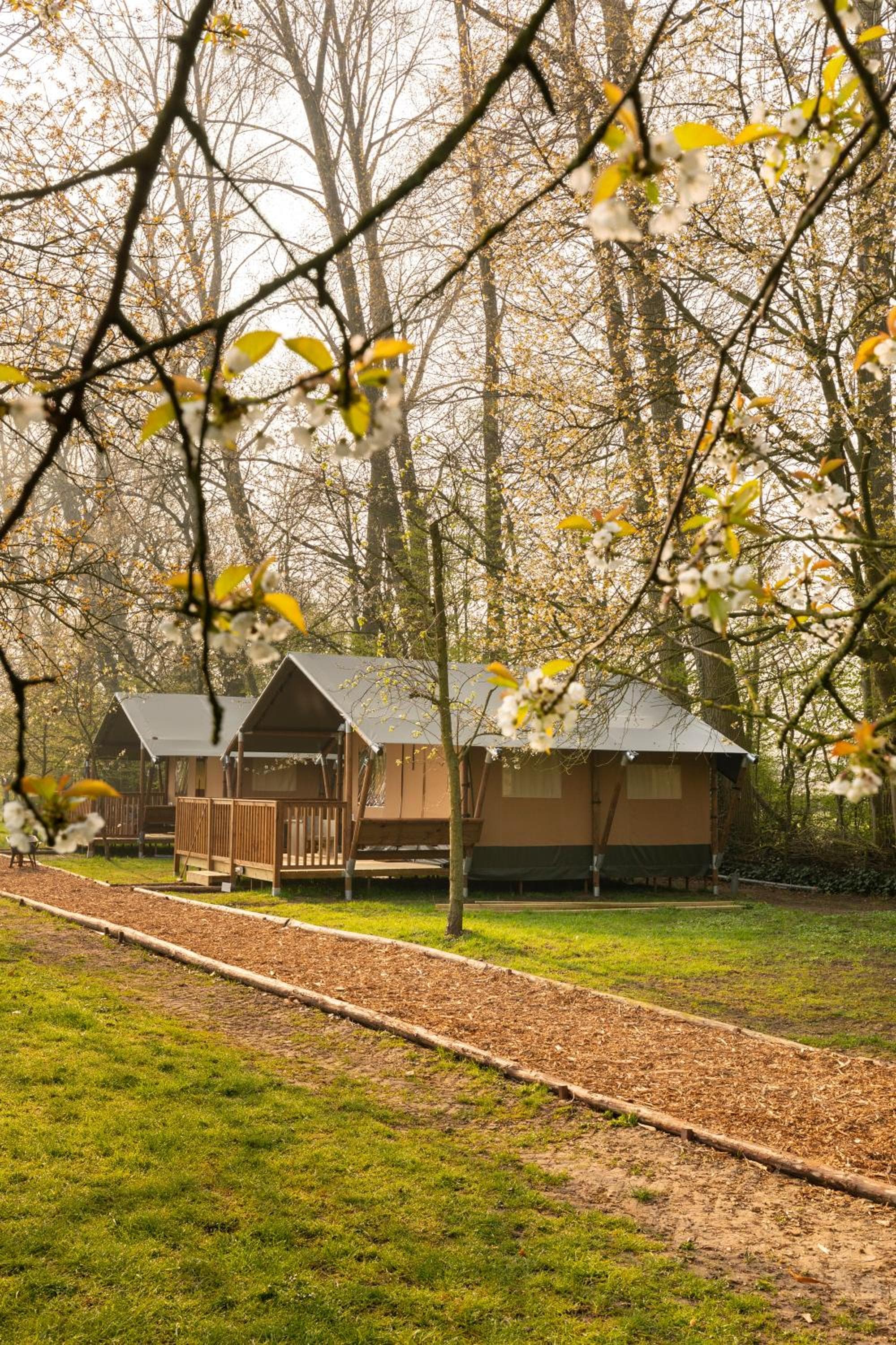 Het Rentmeestershuis photo 4