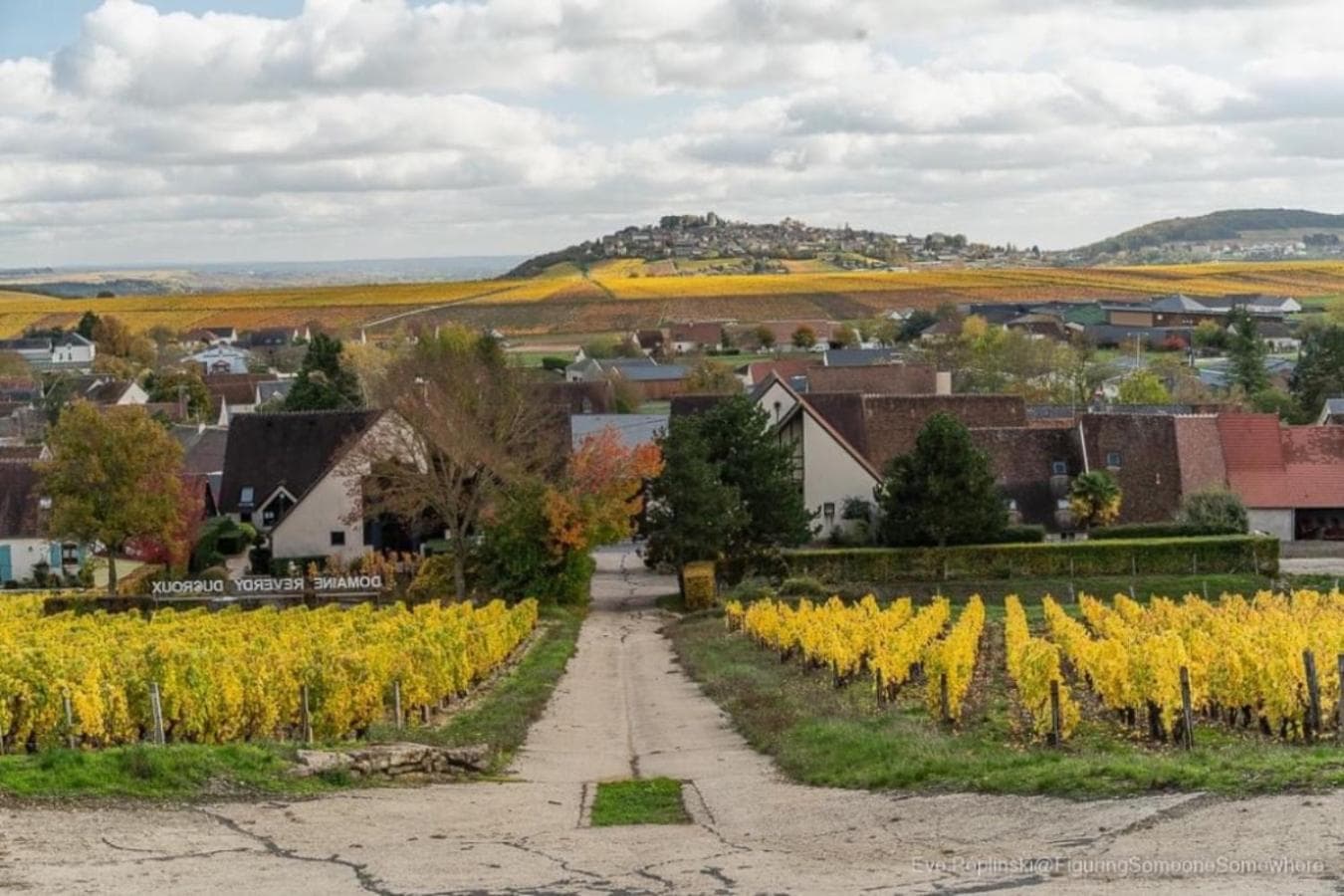 Gite Des Vignes photo 5
