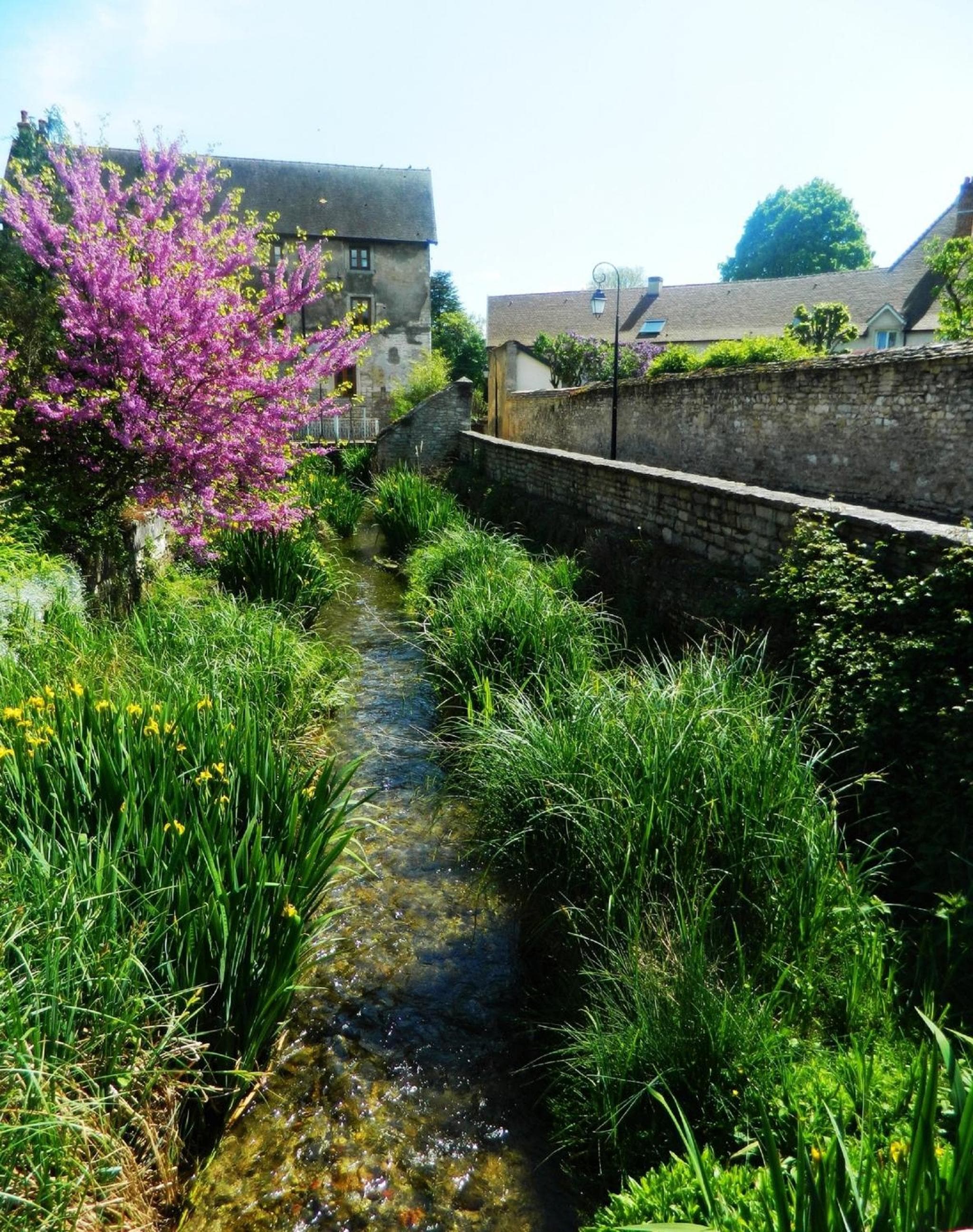 Hotel Le Clos De La Vouge photo 9