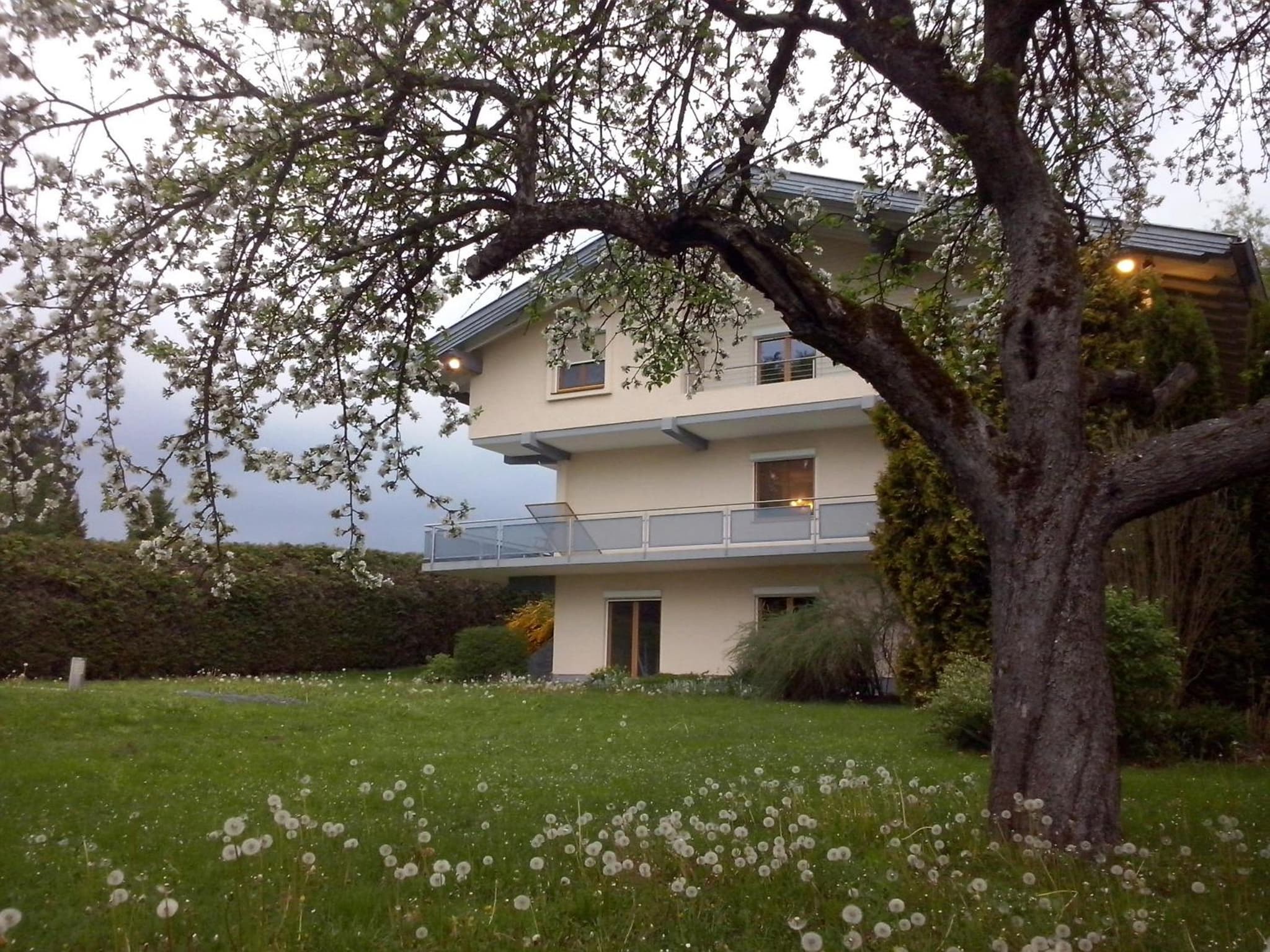 Villa Viola photo 9