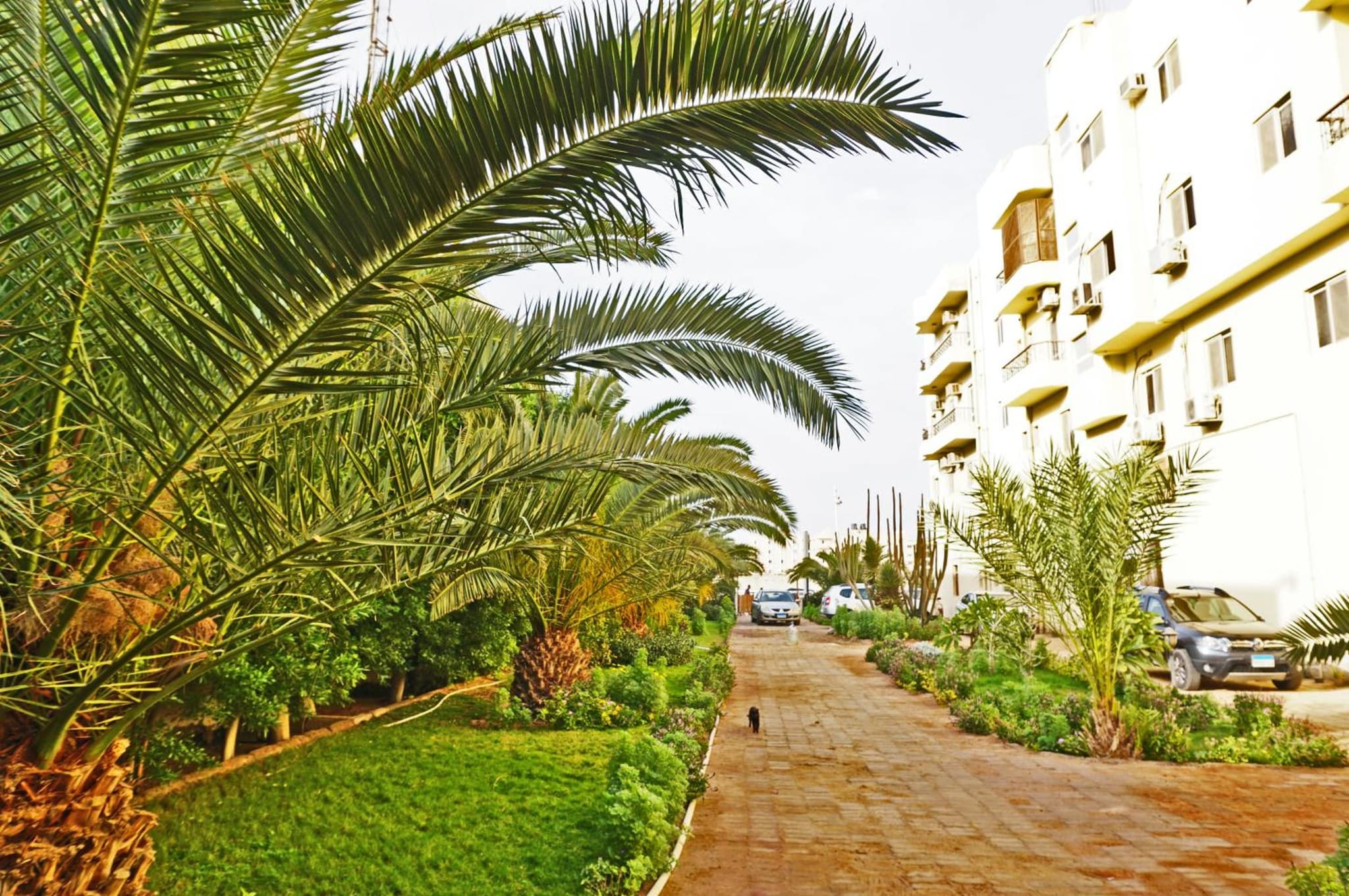 The Touristic Promenade Apartment photo 3