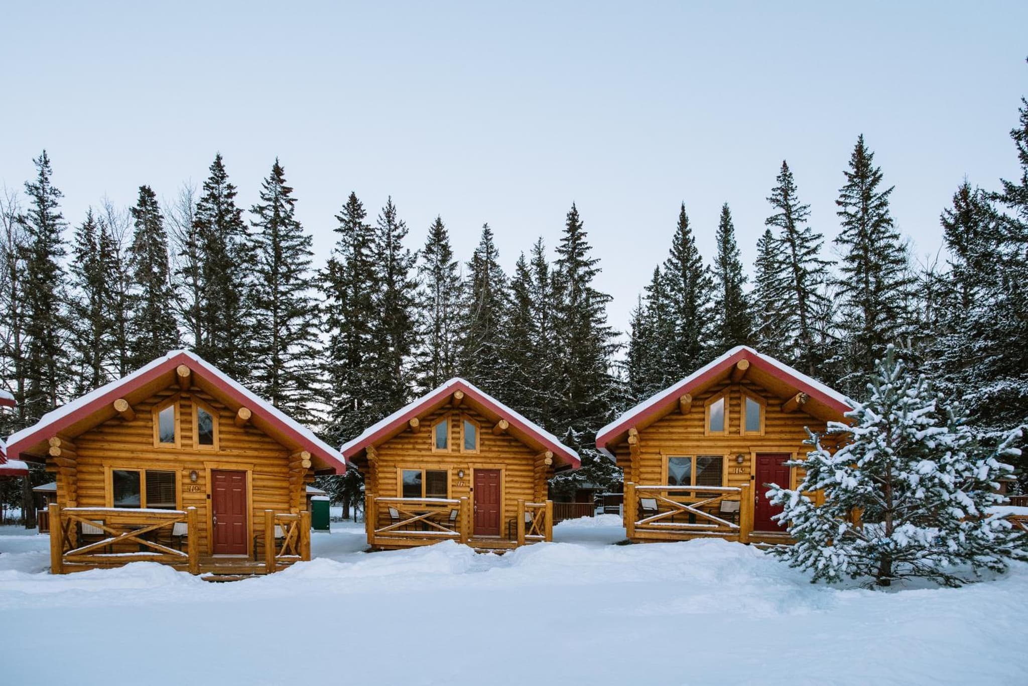 Miette Mountain Cabins photo 8