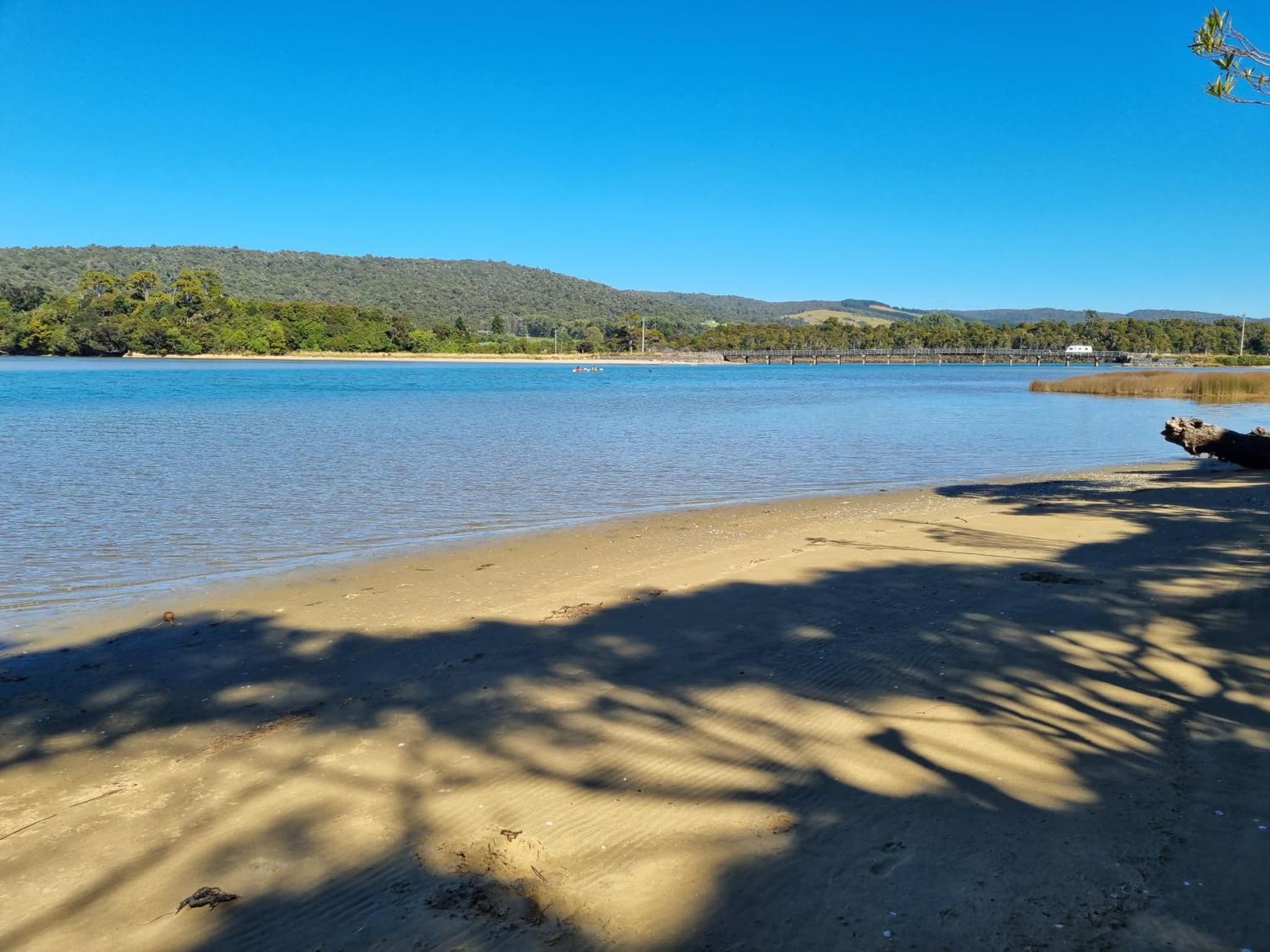 Catlins Lake Sanctuary photo 5