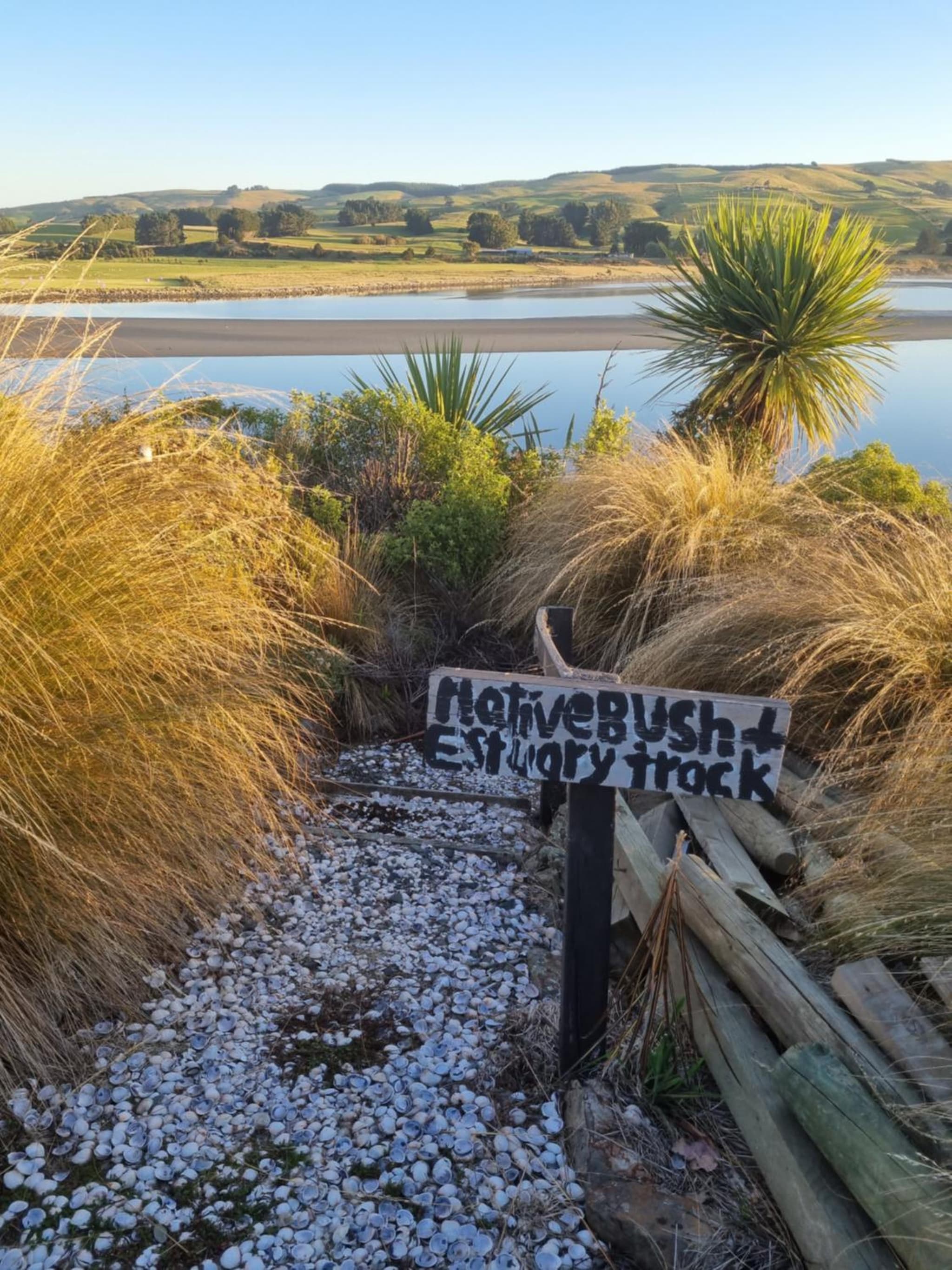 Catlins Lake Sanctuary photo 6