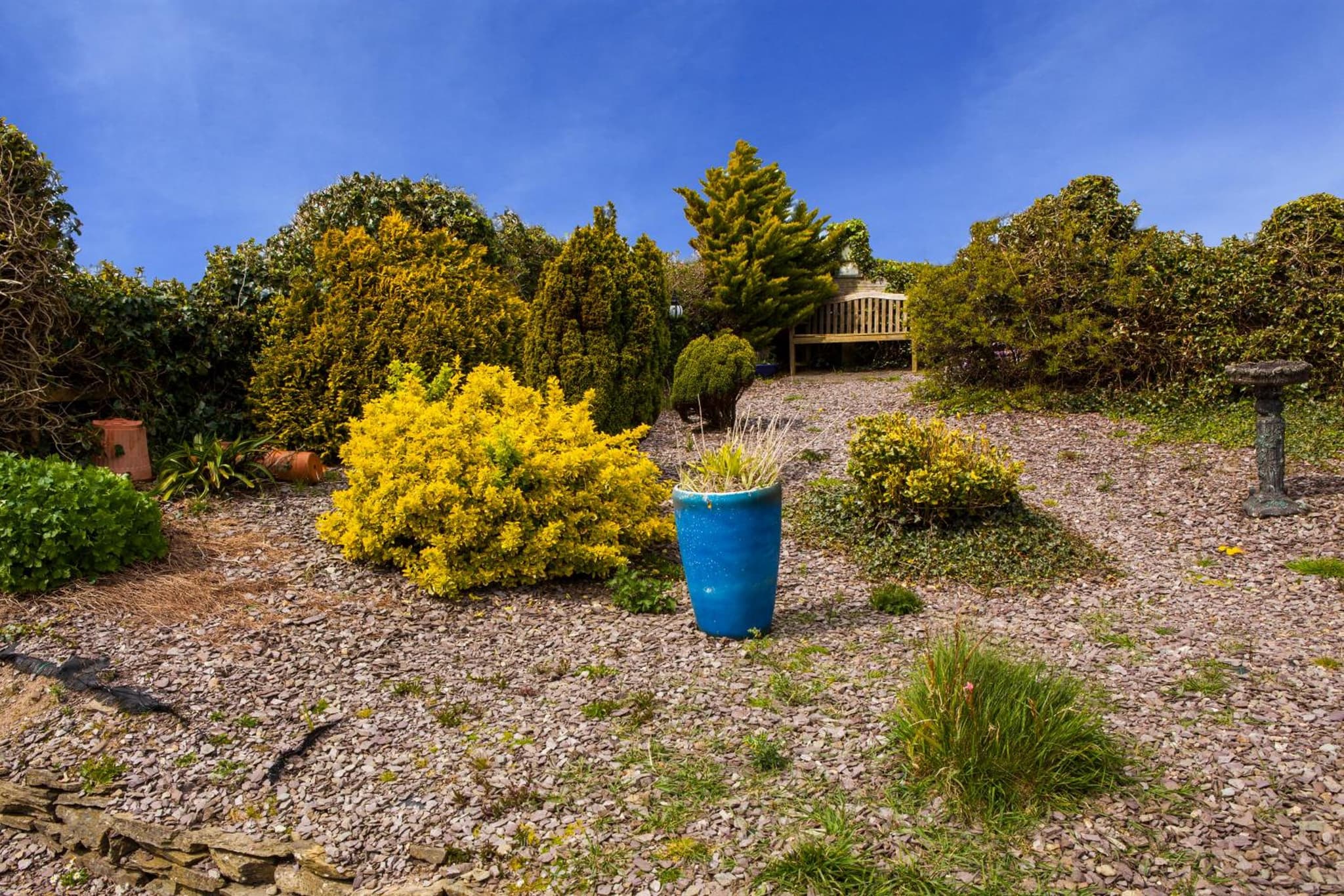 Sunville Bed And Breakfast photo 4