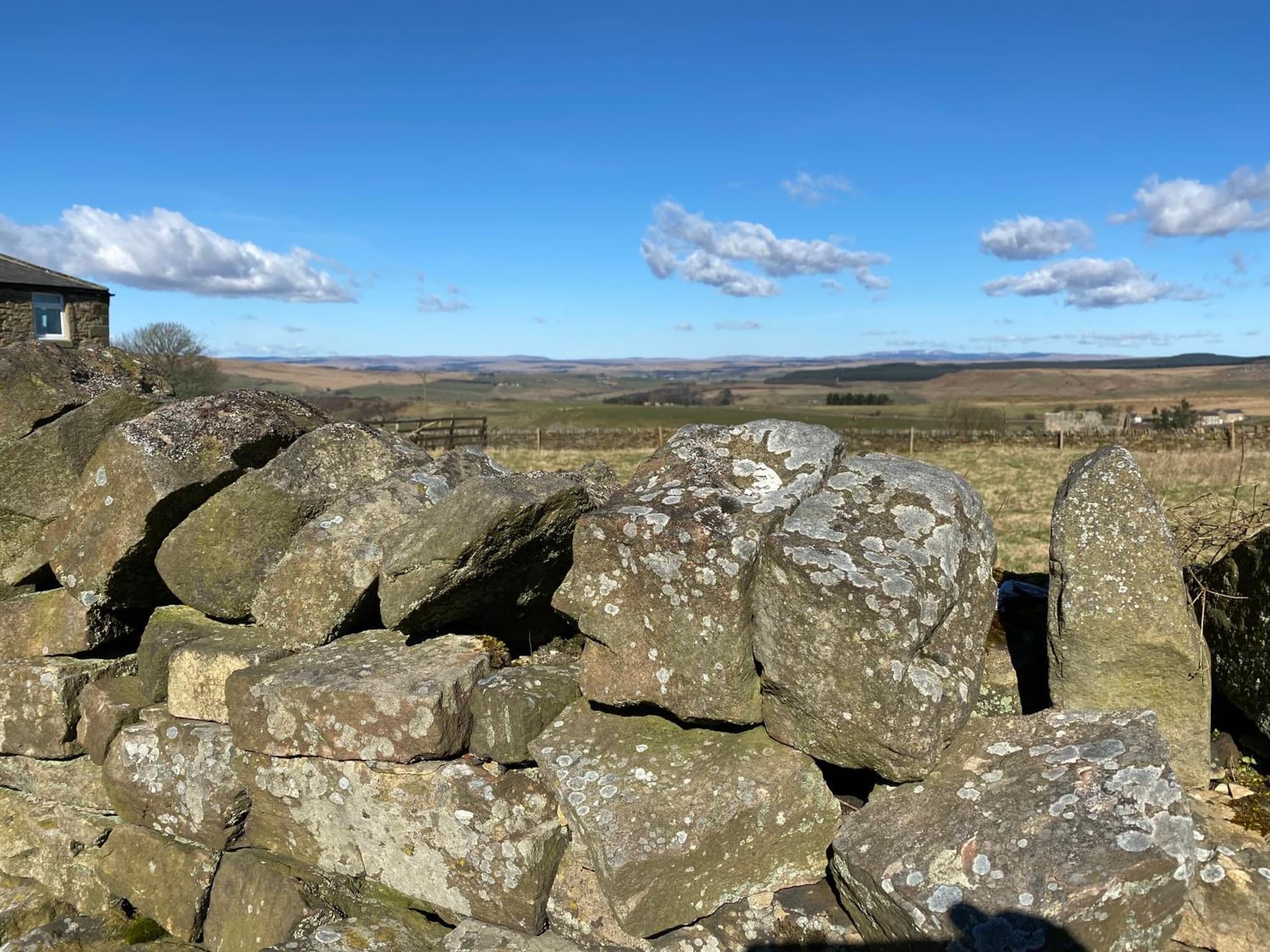The Gun at Ridsdale photo 9