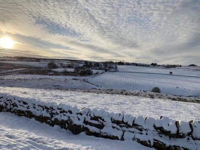 The Gun at Ridsdale photo 7