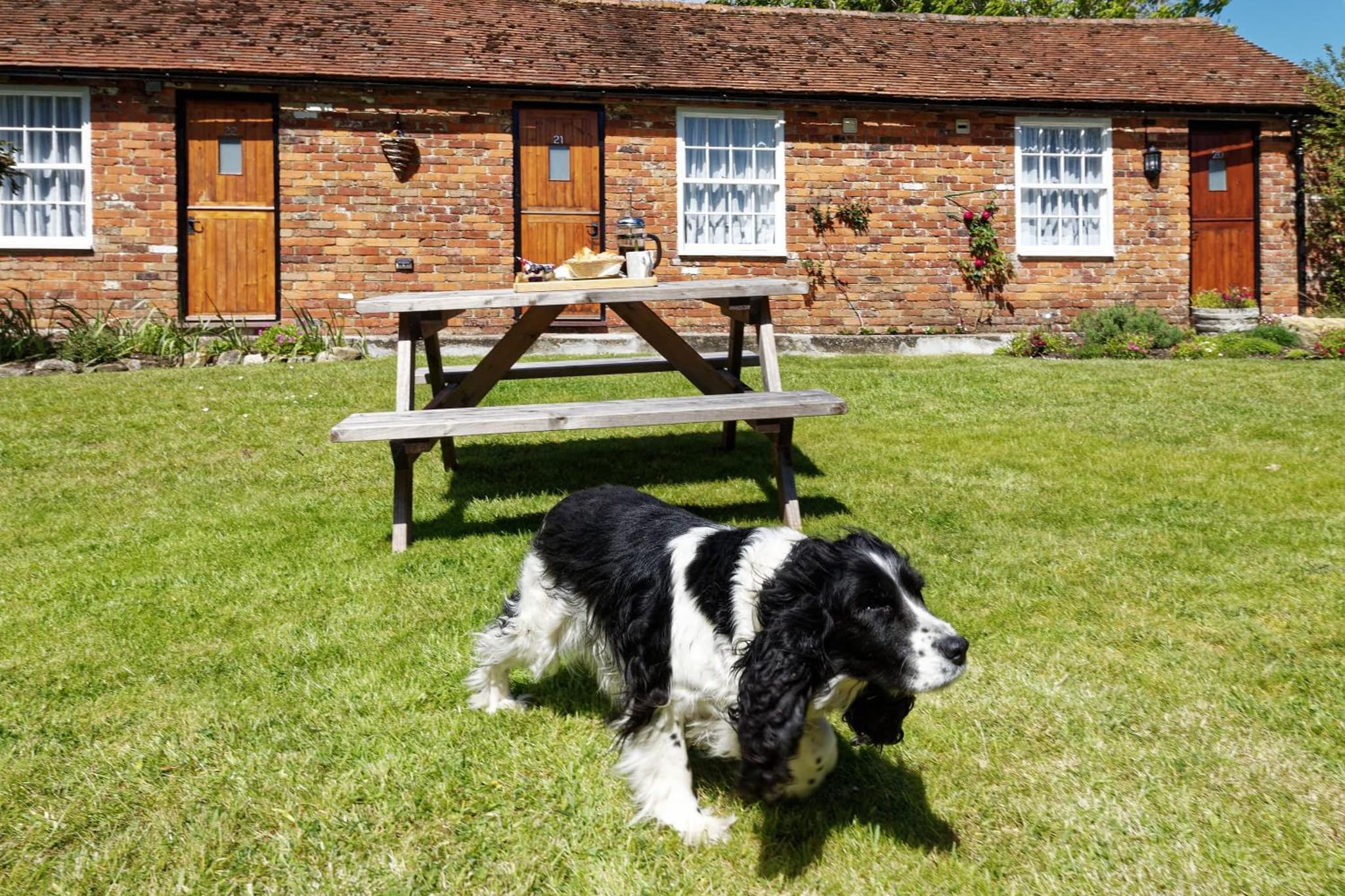 Beachborough Park photo 9